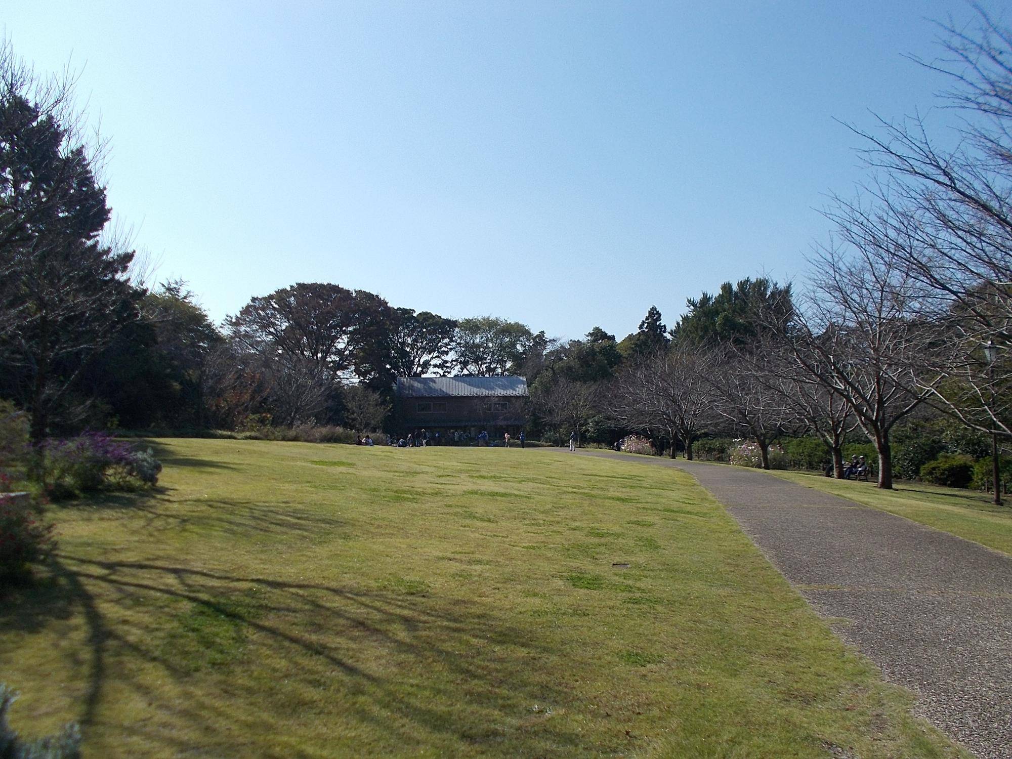DSCN0336.jpg