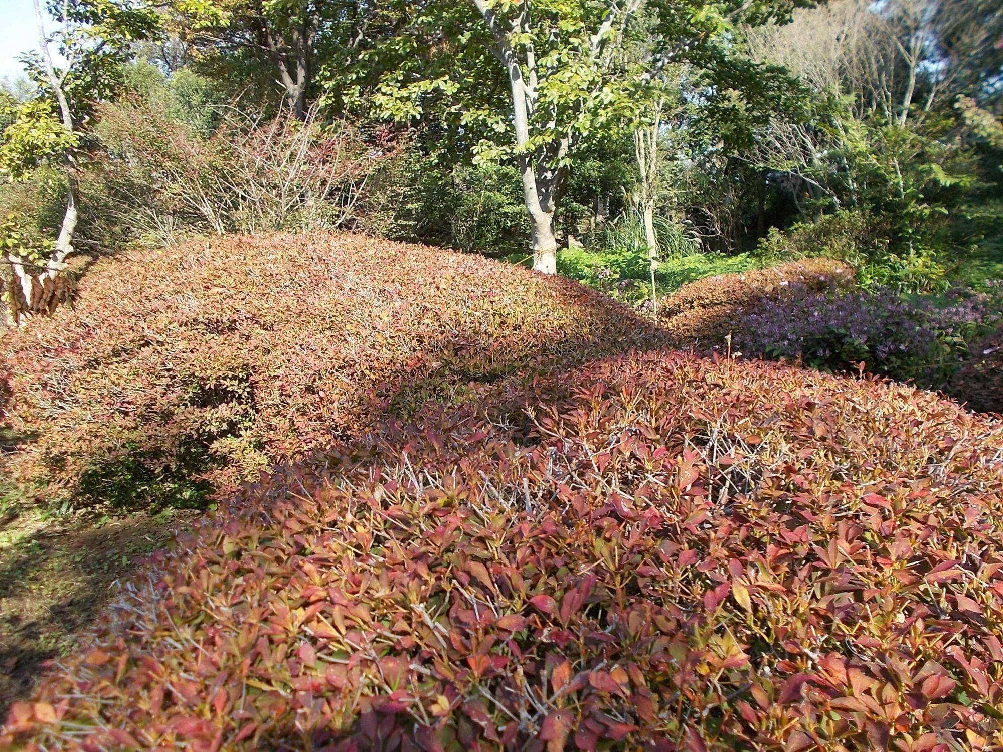 DSCN0338.jpg