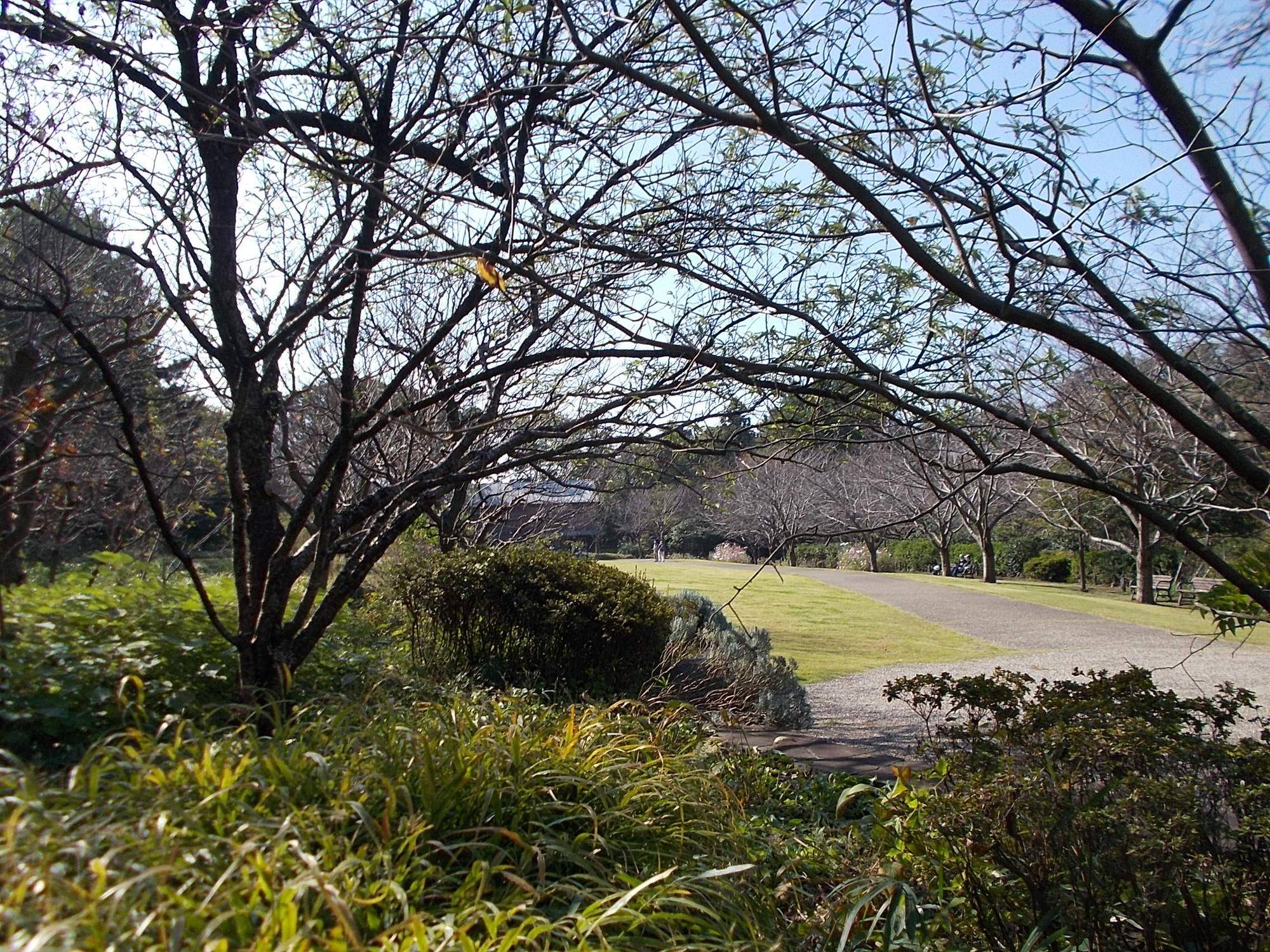DSCN0339.jpg