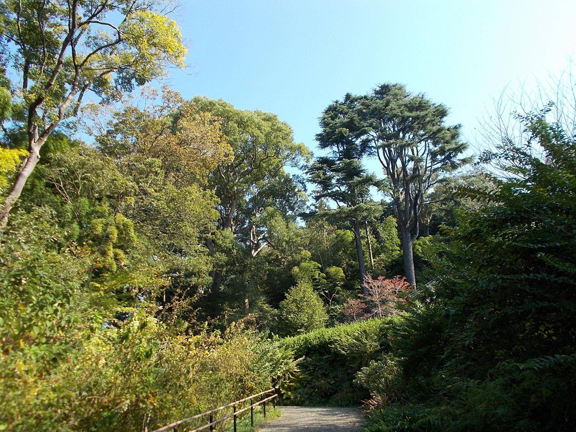 DSCN0341.jpg