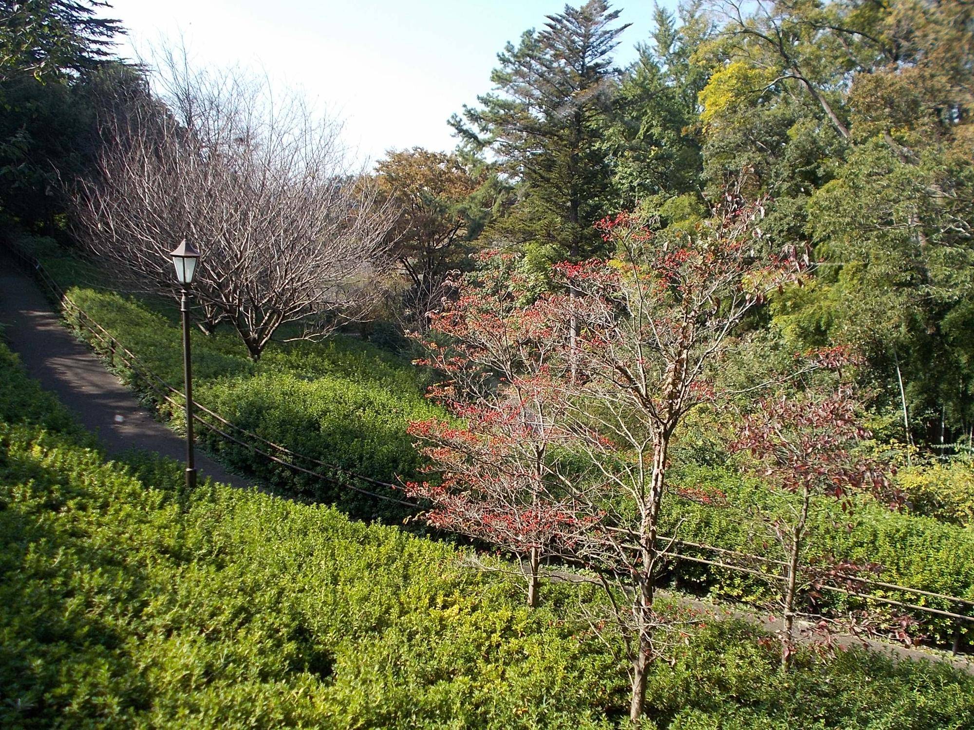 DSCN0343.jpg