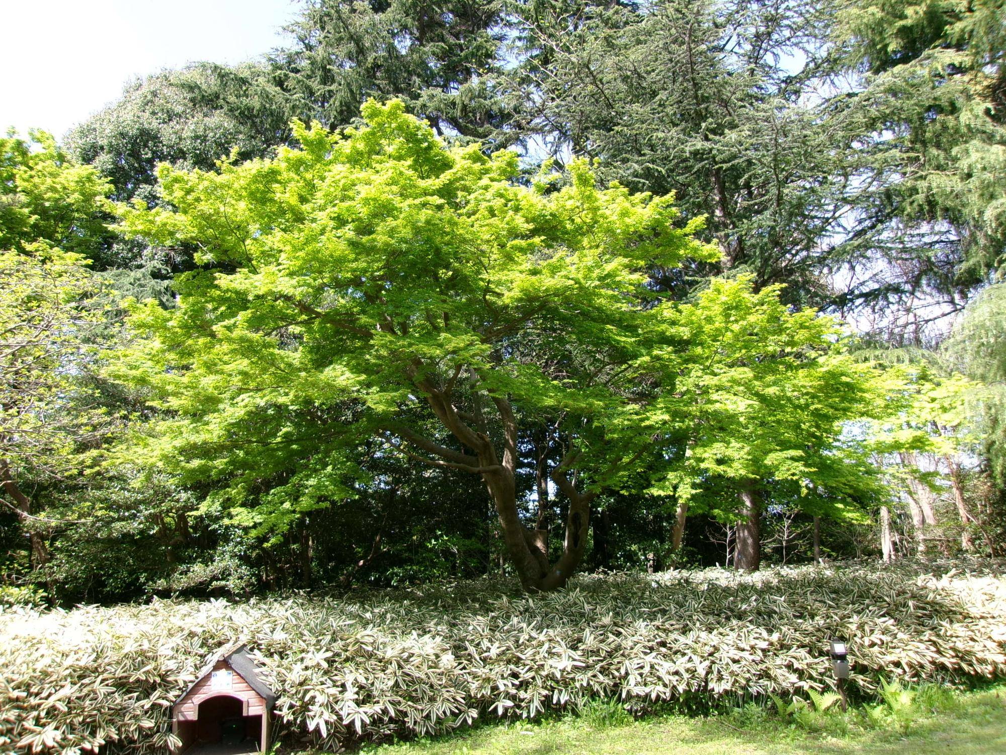 100_0579.jpg