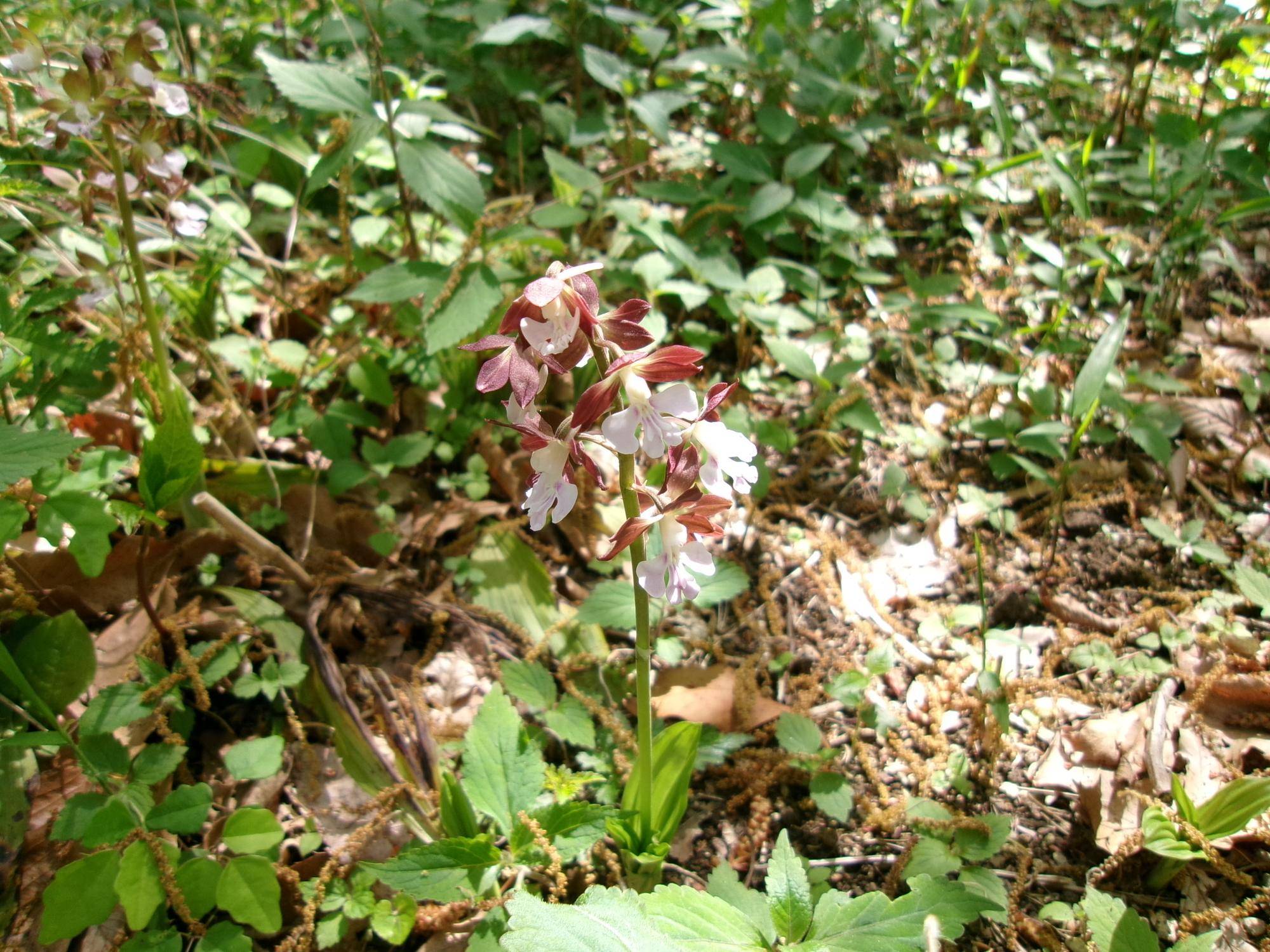 100_0589.jpg