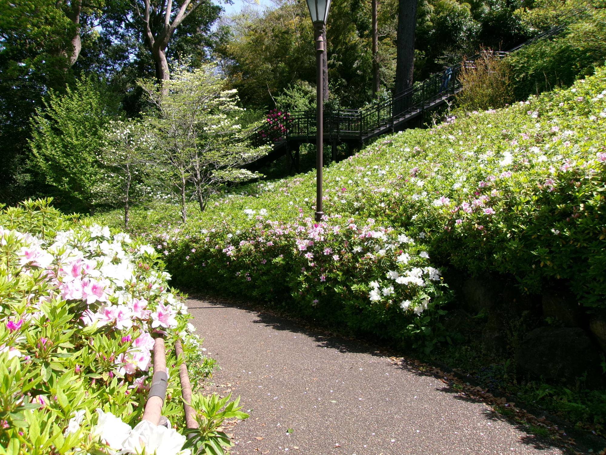 100_0624.jpg
