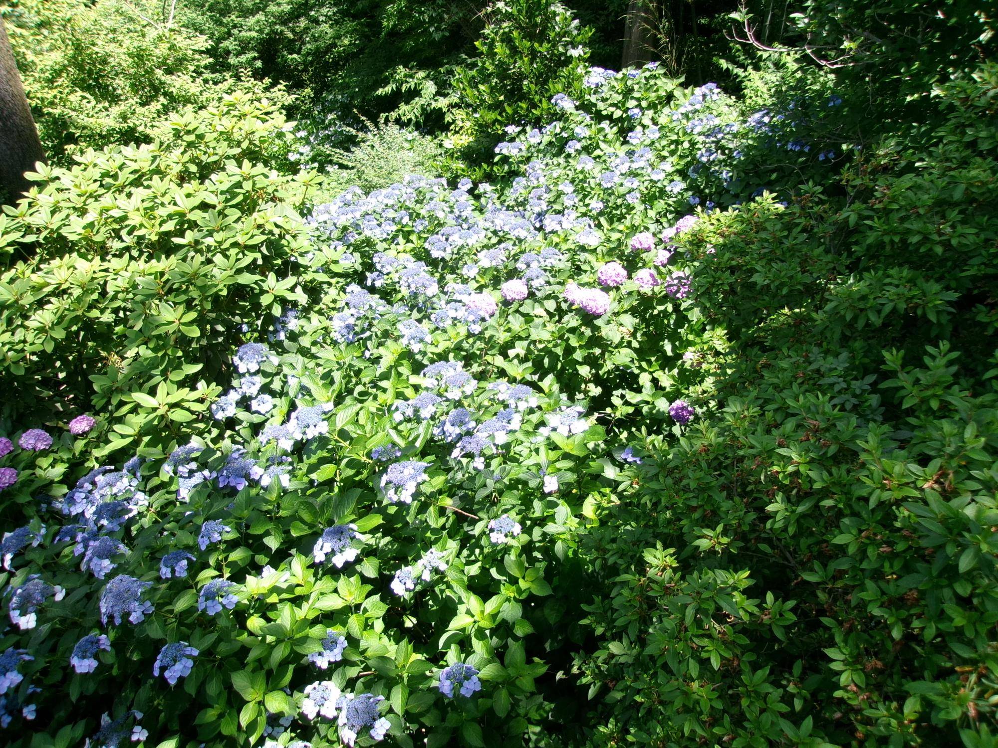 100_1569.jpg