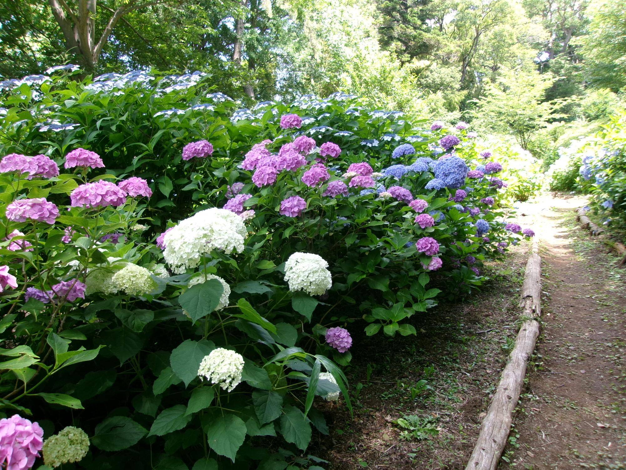 100_1580.jpg