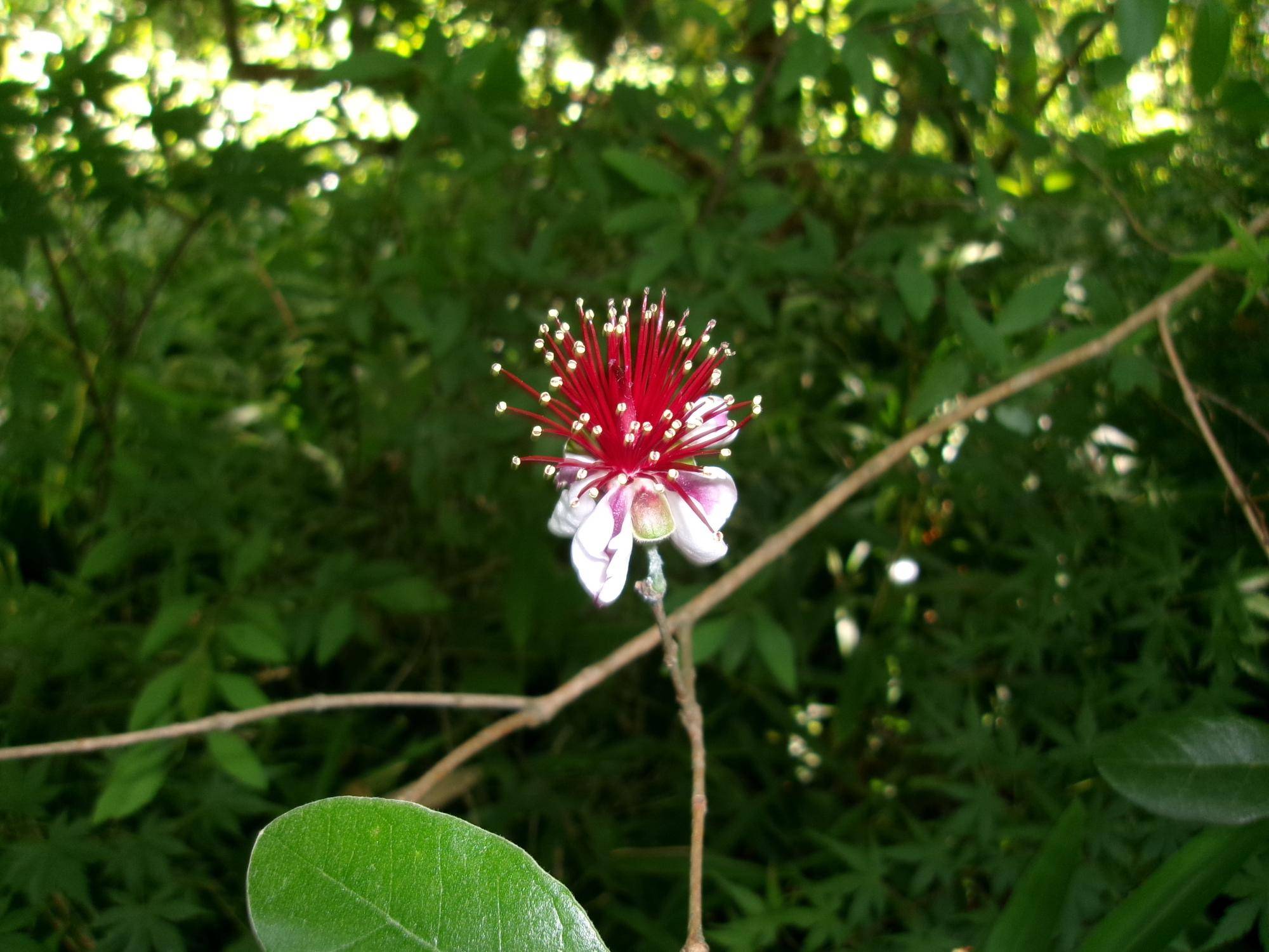 100_1592.jpg