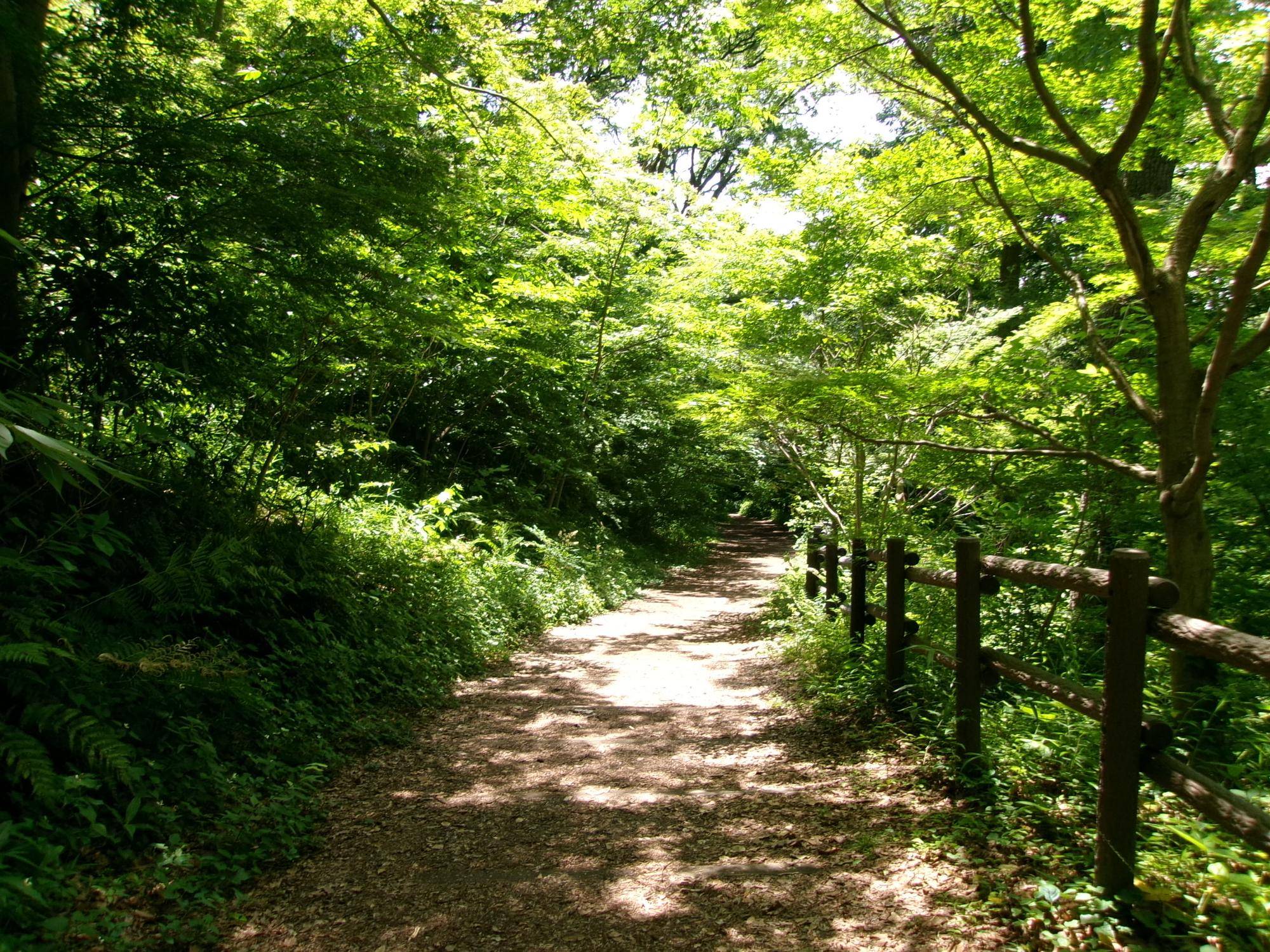 100_1625.jpg