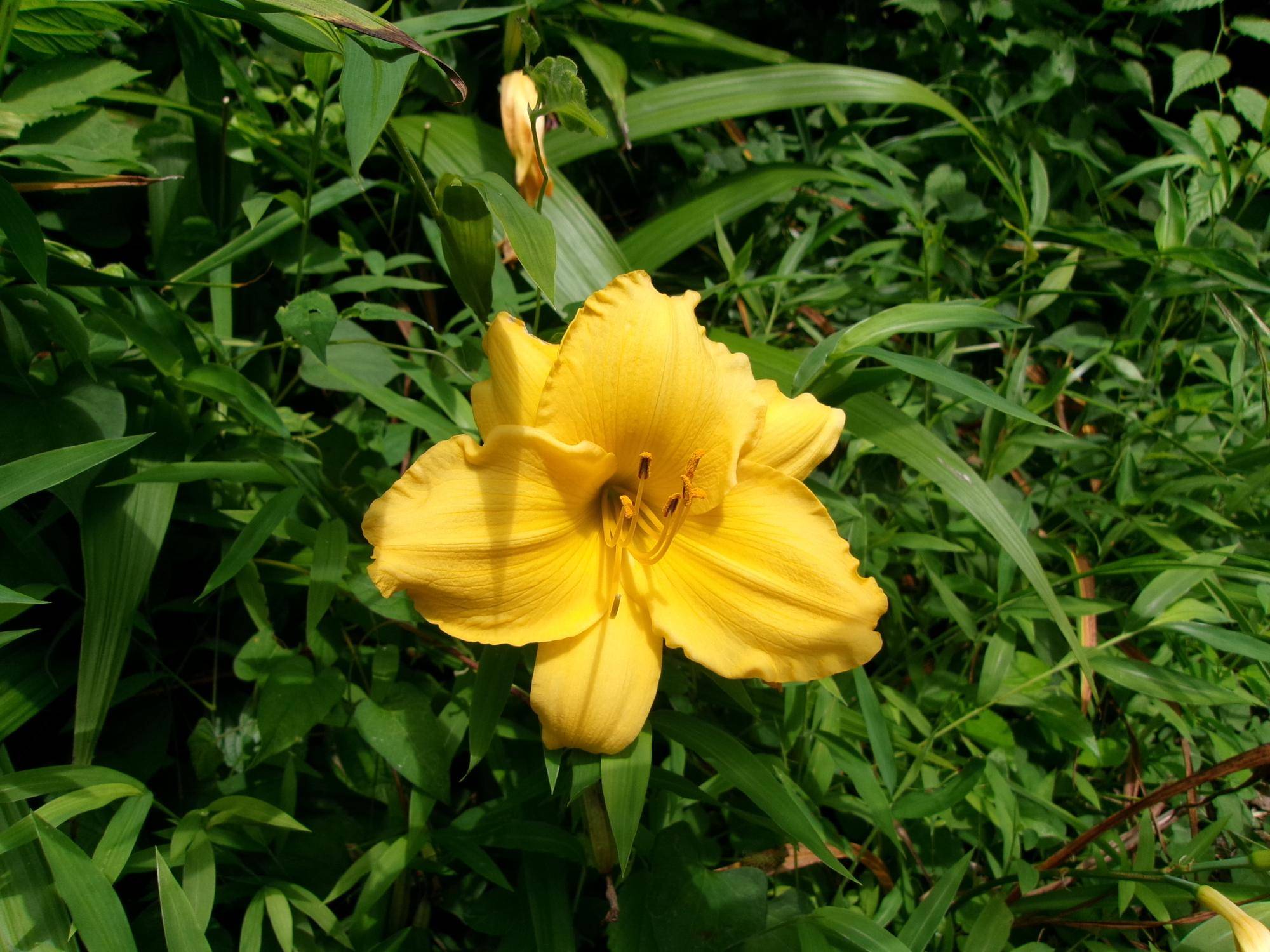 100_1929.jpg