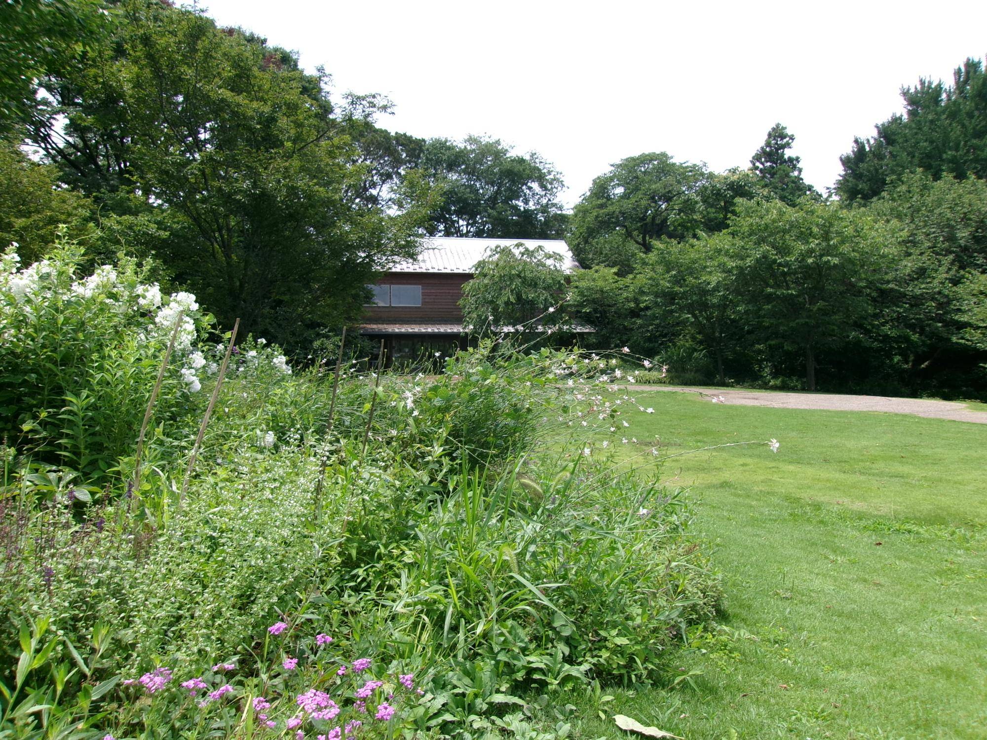 100_1934.jpg