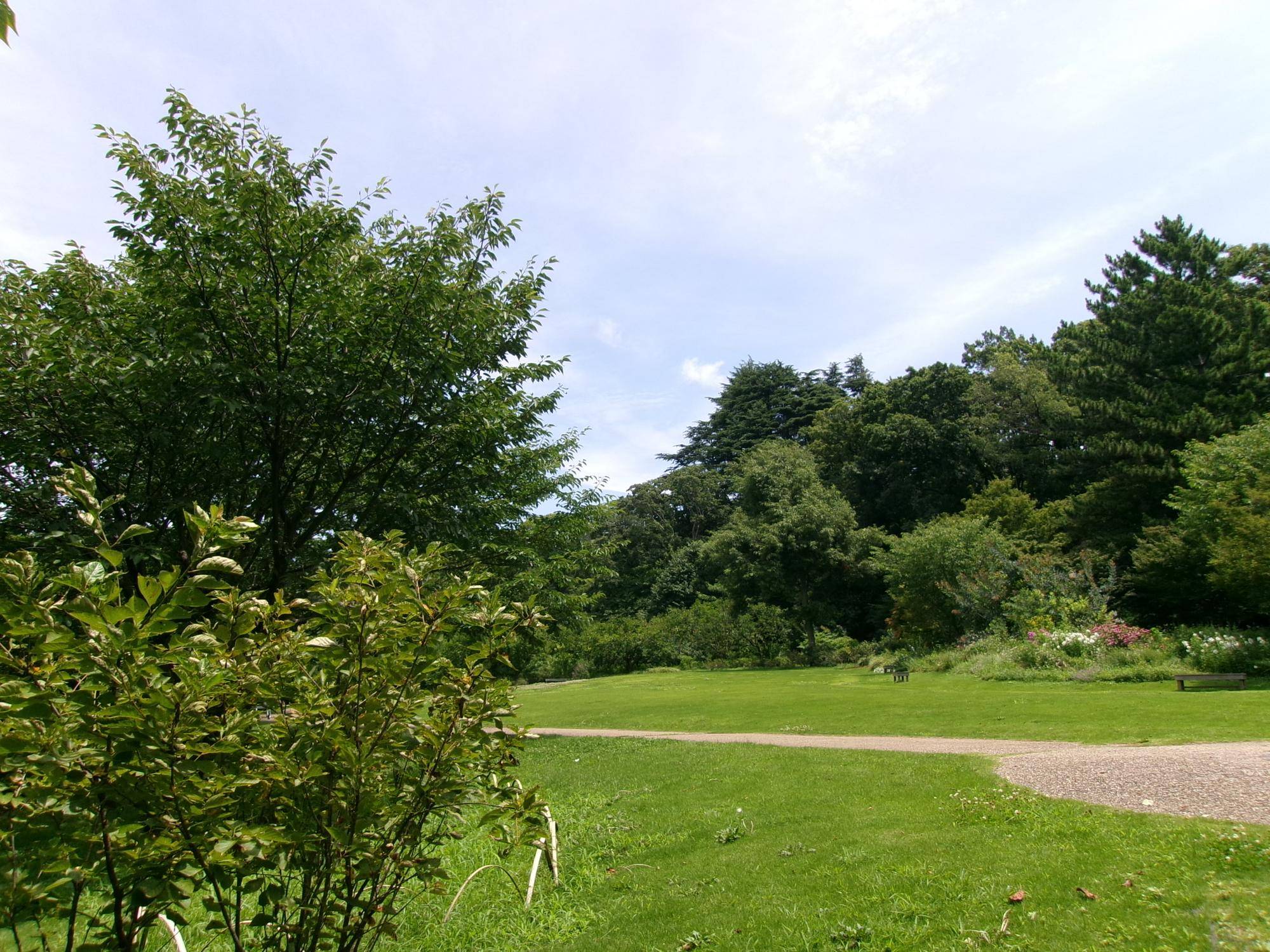 100_1938.jpg