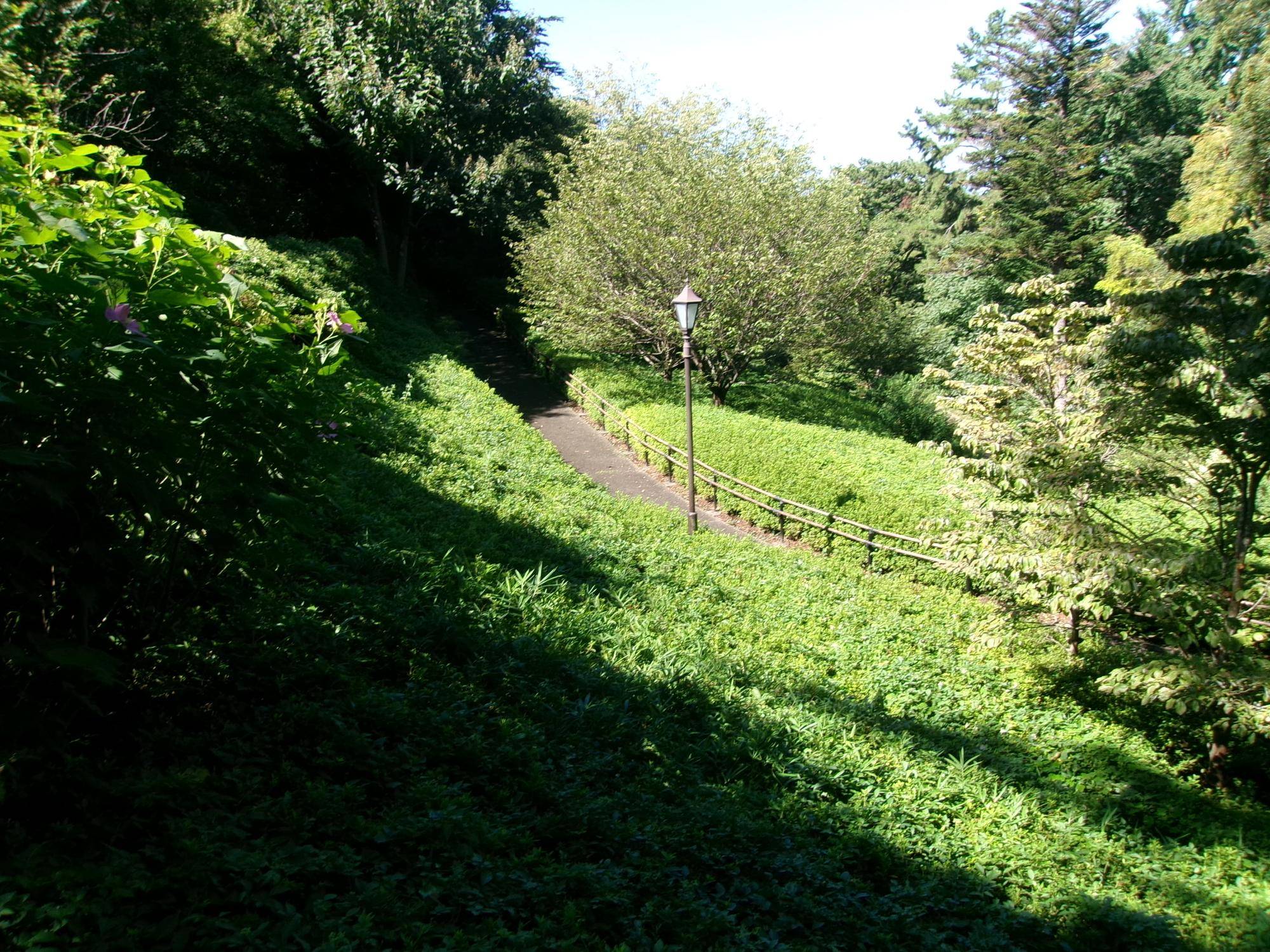 100_2322.jpg