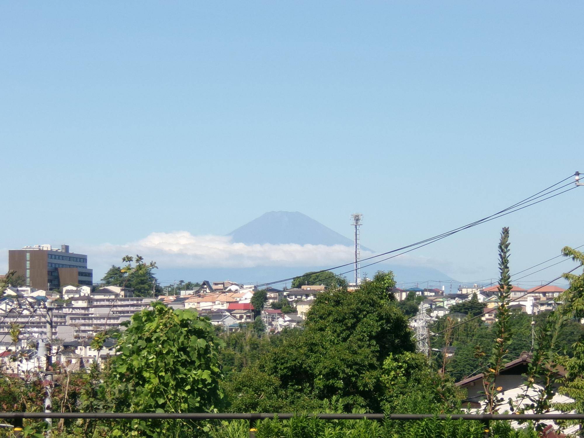 100_2323.jpg