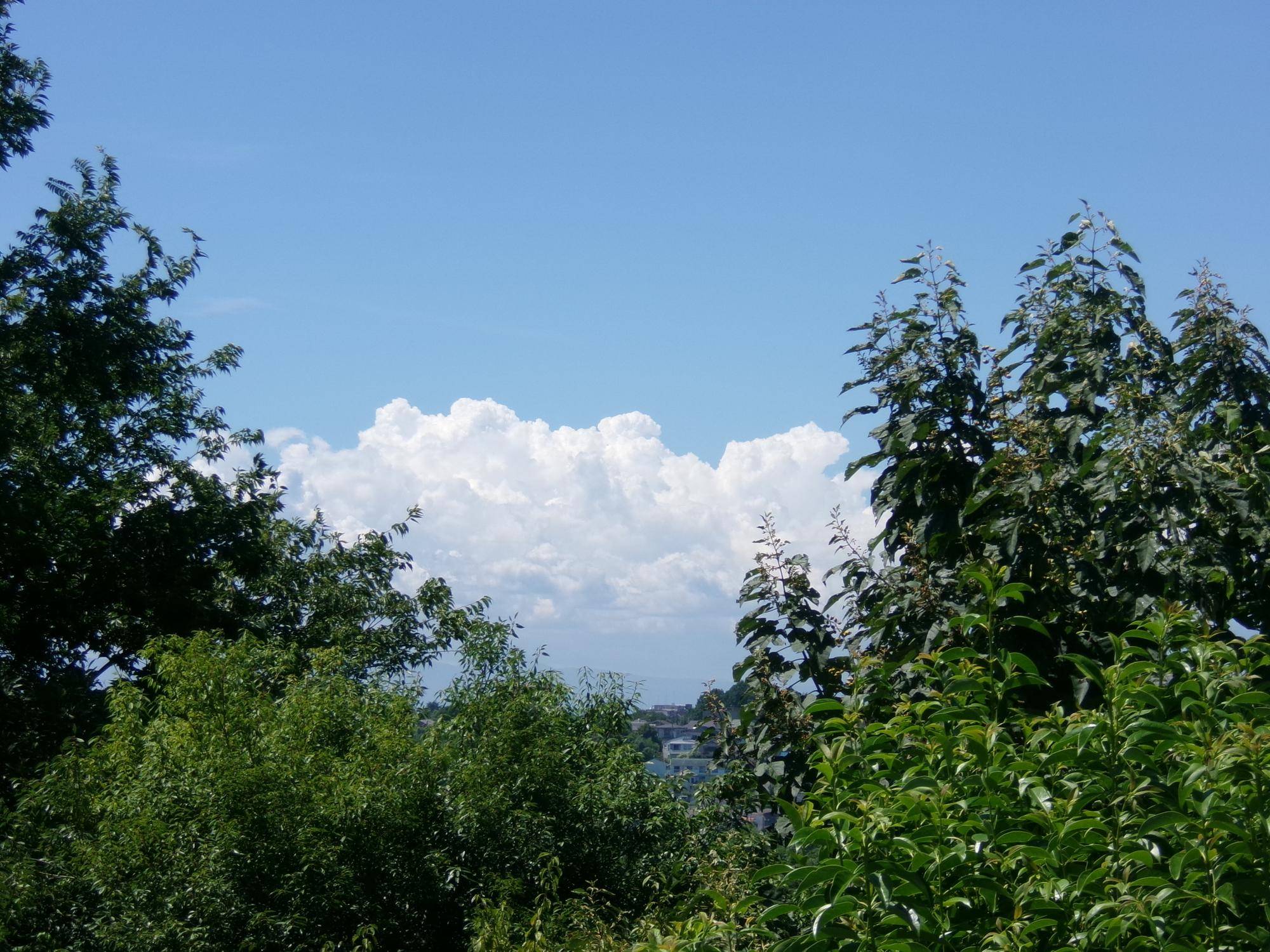100_2354.jpg