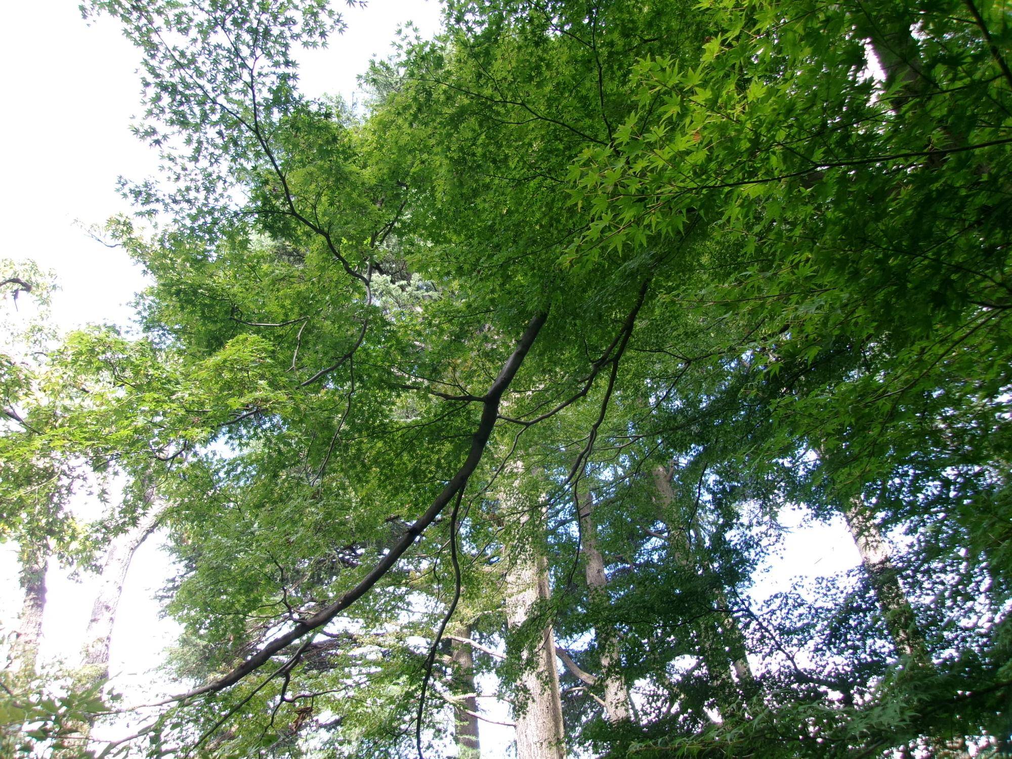 100_3039.jpg