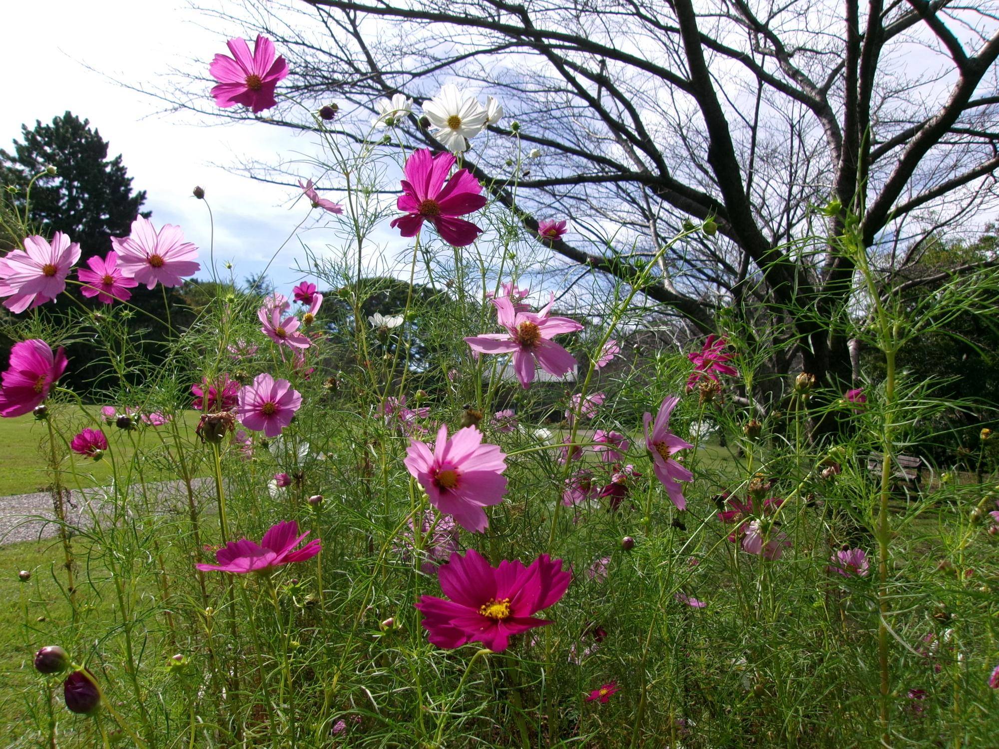 100_3057.jpg