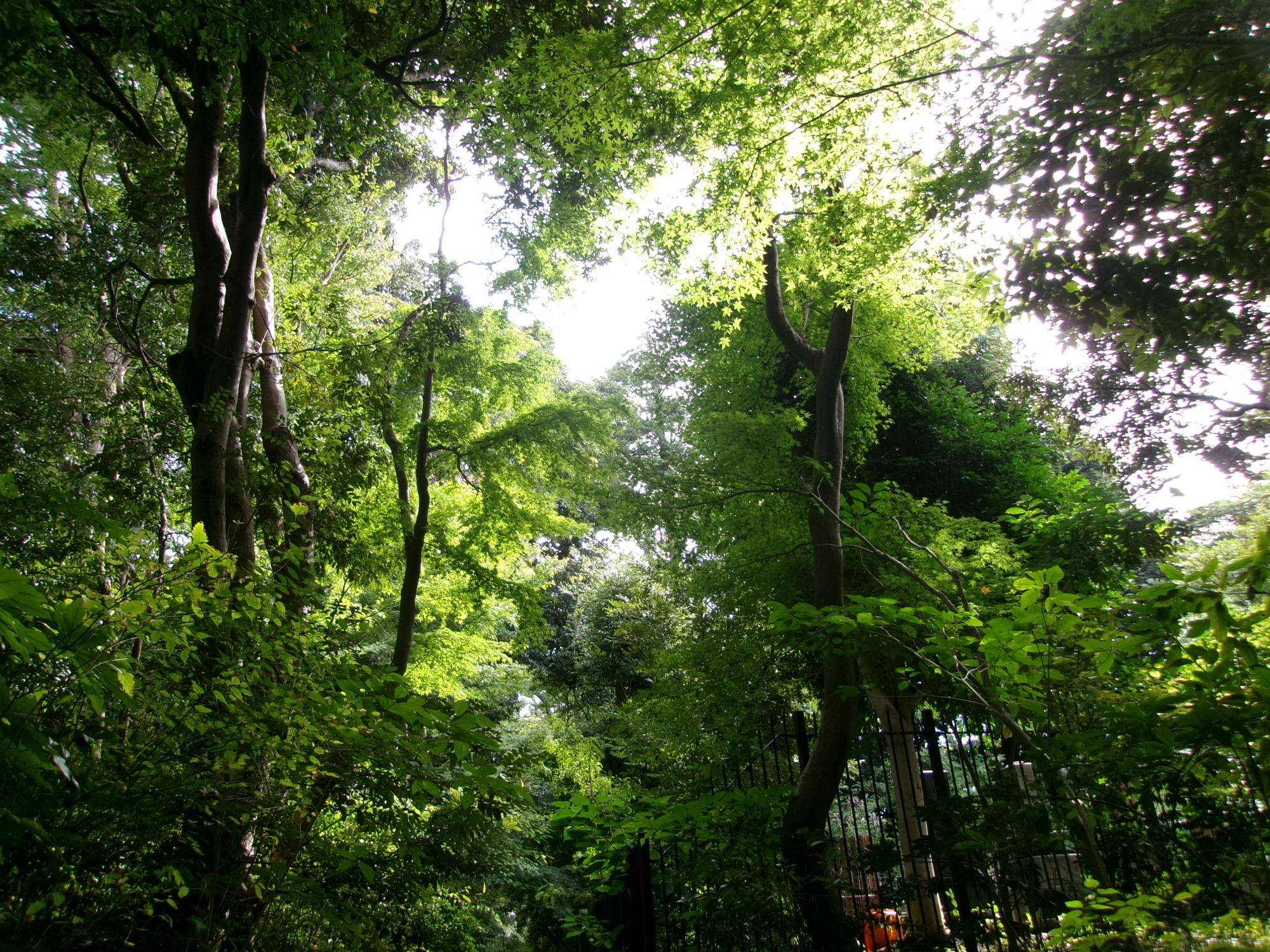 100_3073.jpg