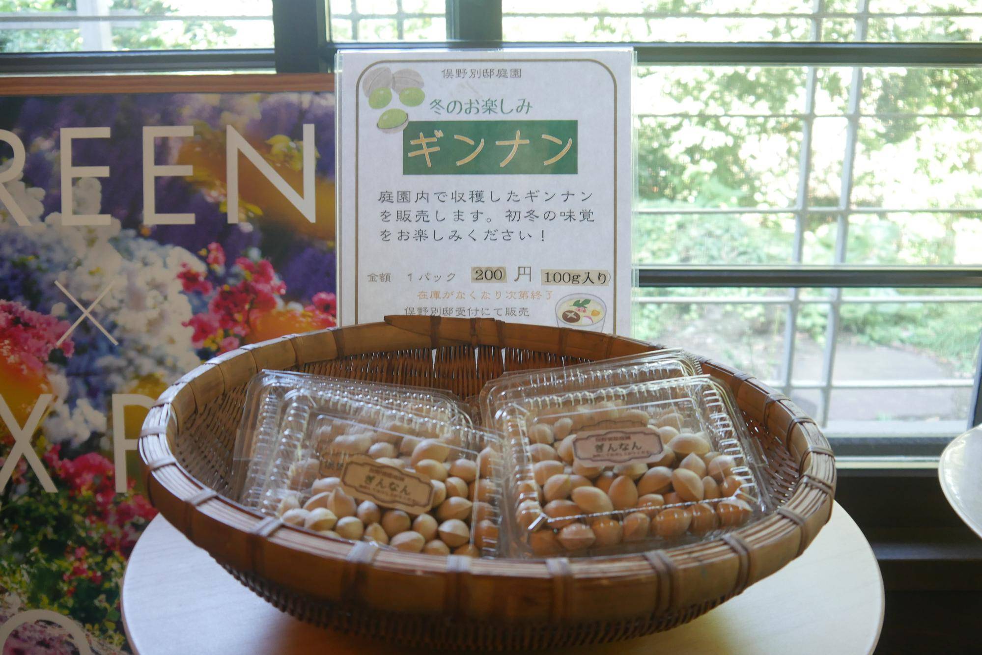P1100165.jpg