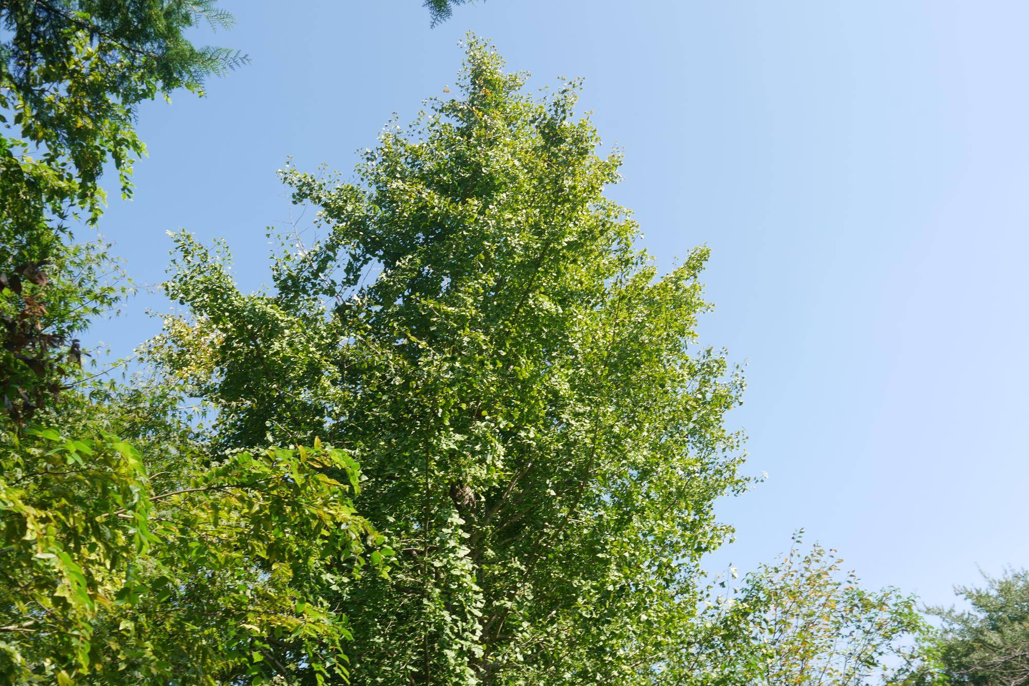 P1100176.jpg