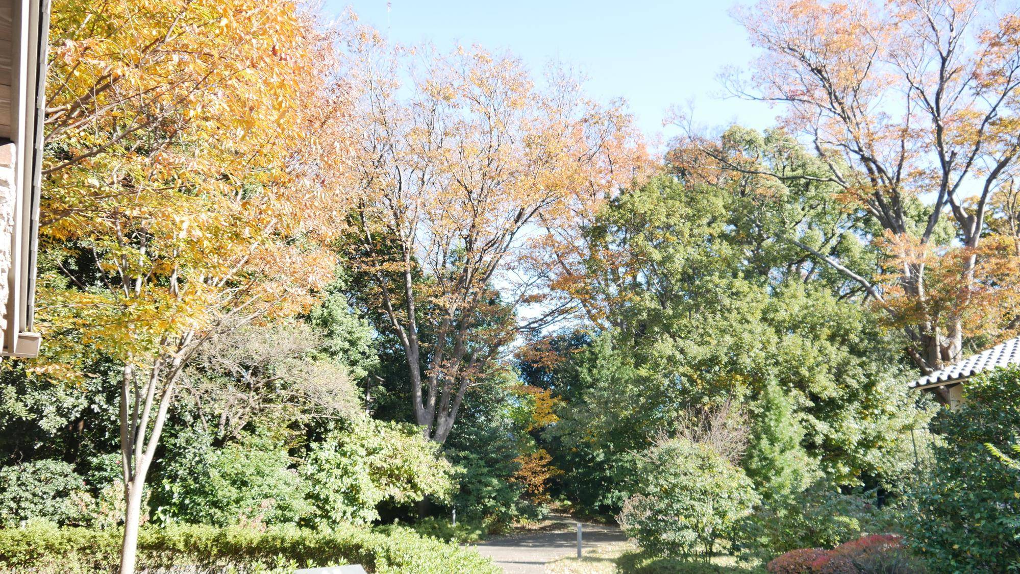 P1100767.jpg