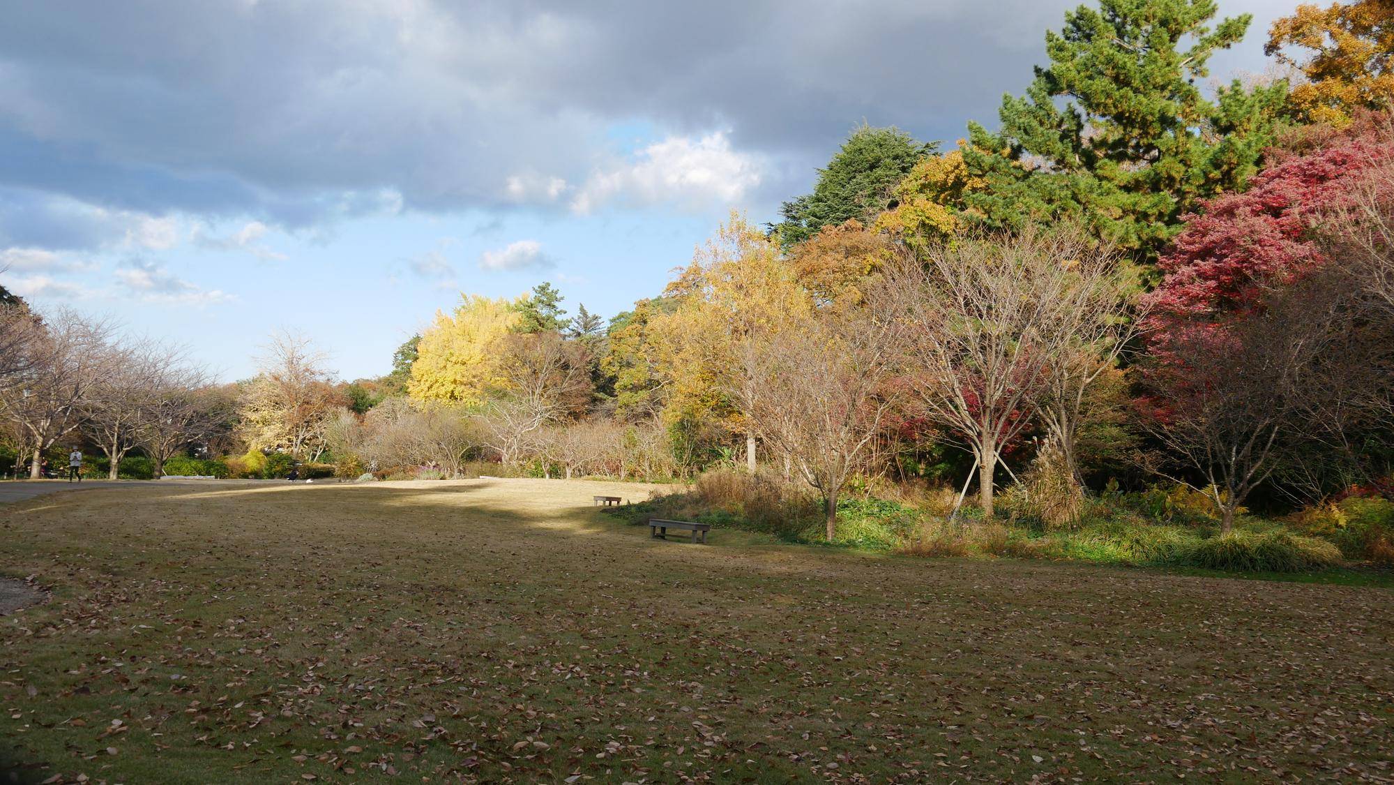 P1100944.jpg