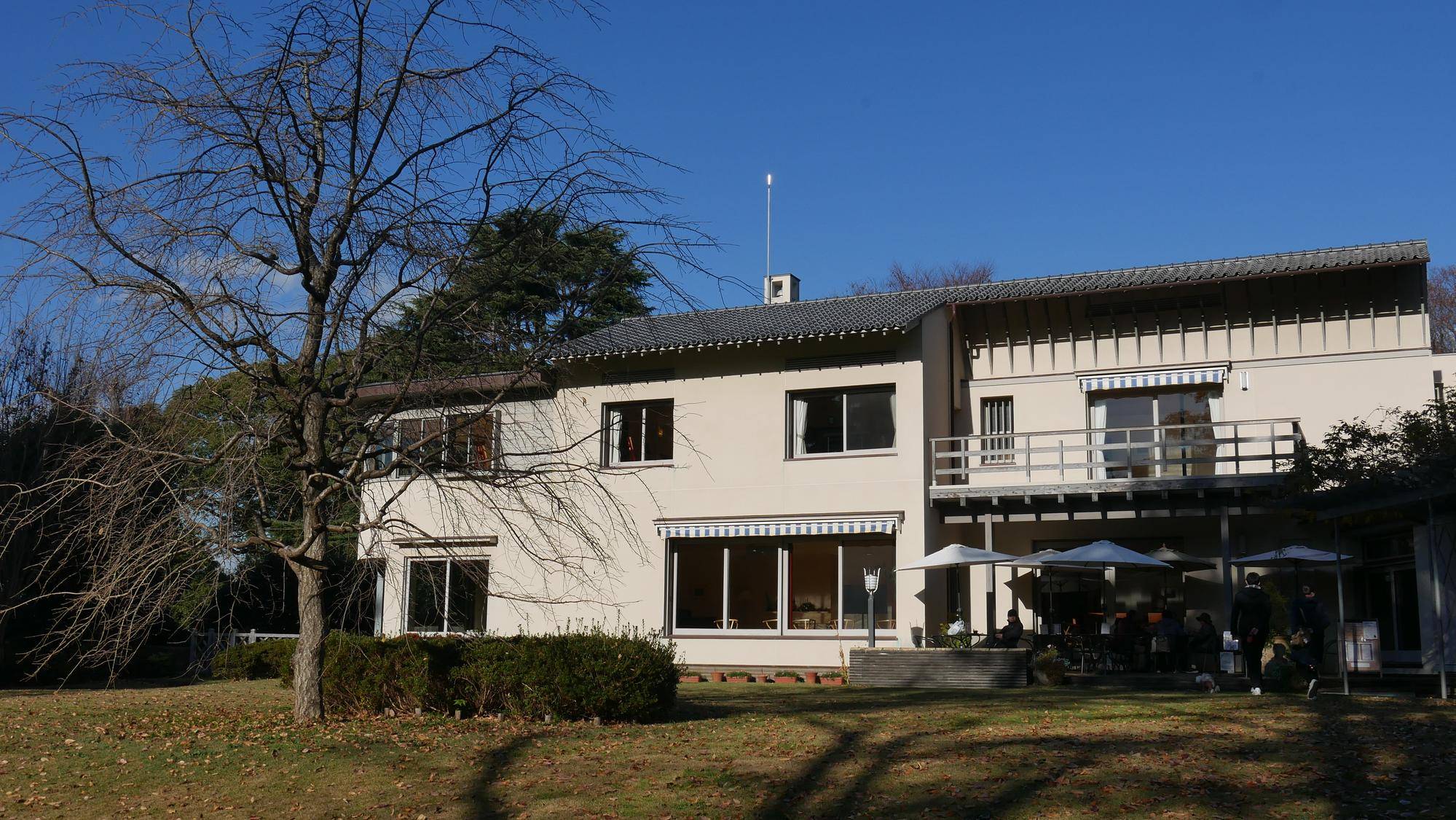 P1100920.jpg
