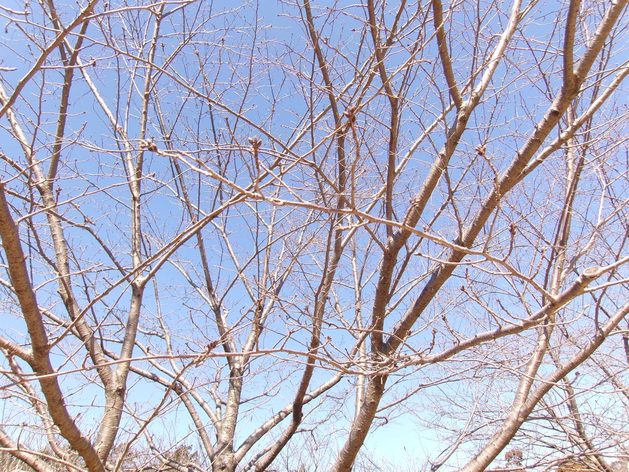 100_4681.jpg