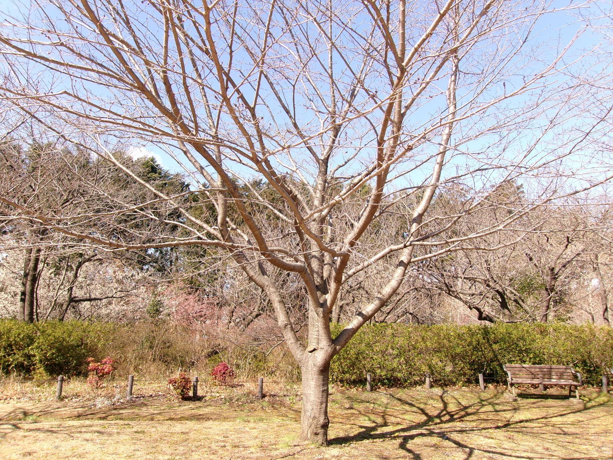 100_4687.jpg