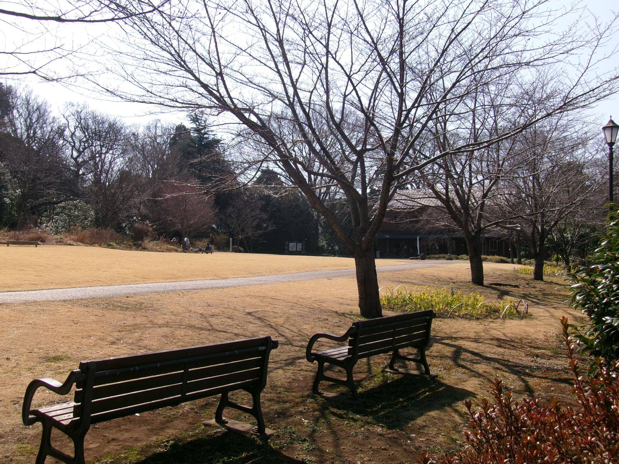100_4740.jpg