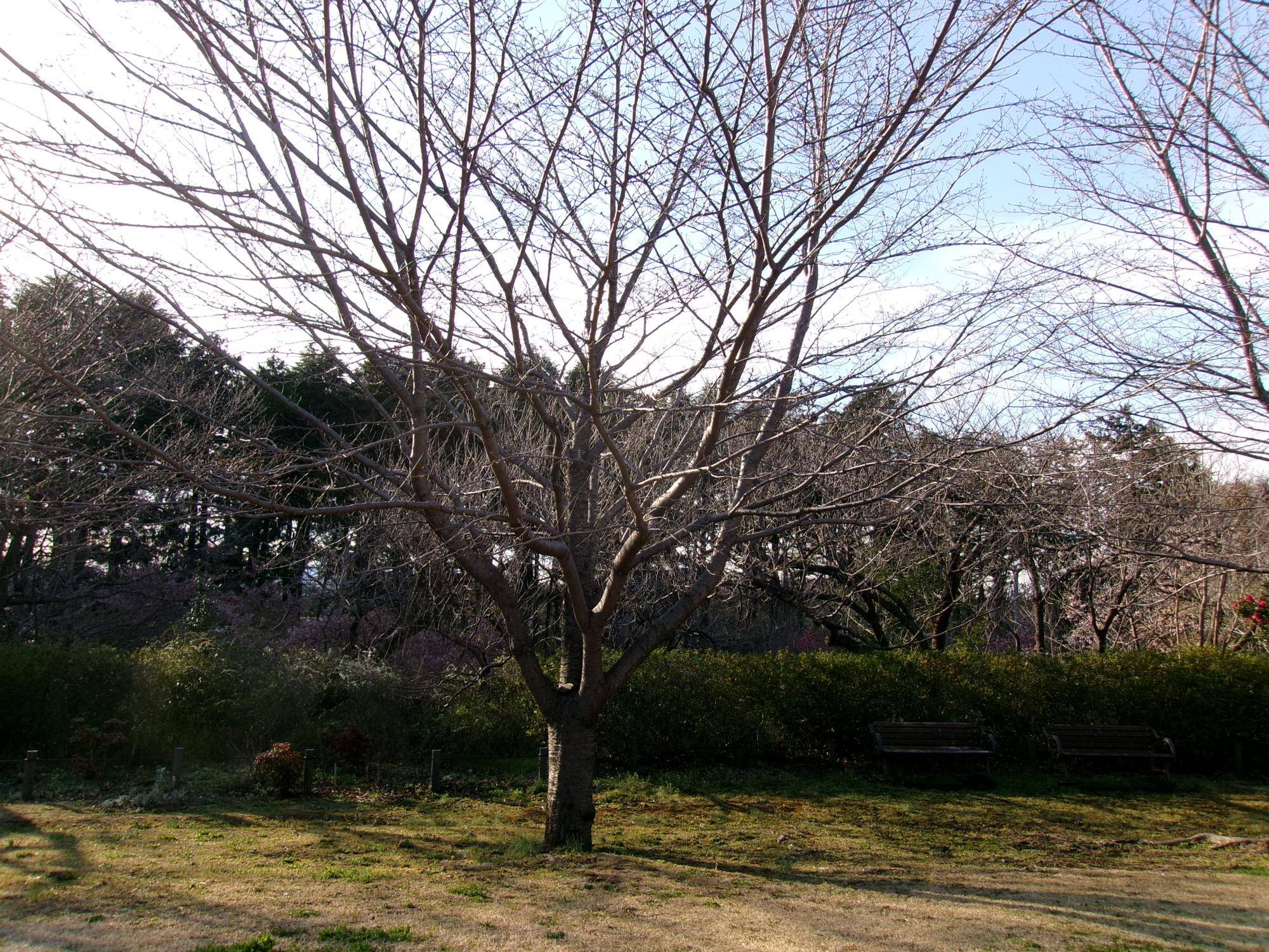100_5003.jpg