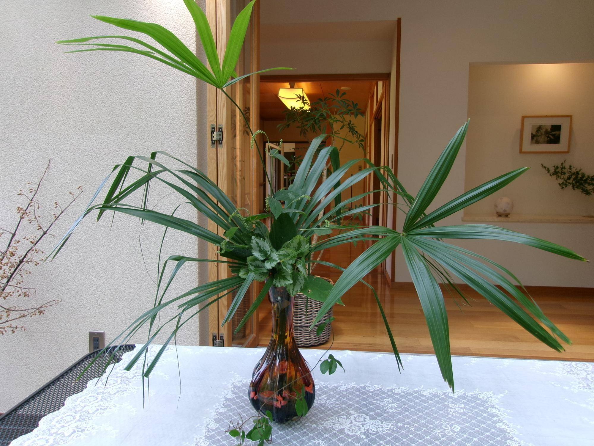 100_7009.jpg