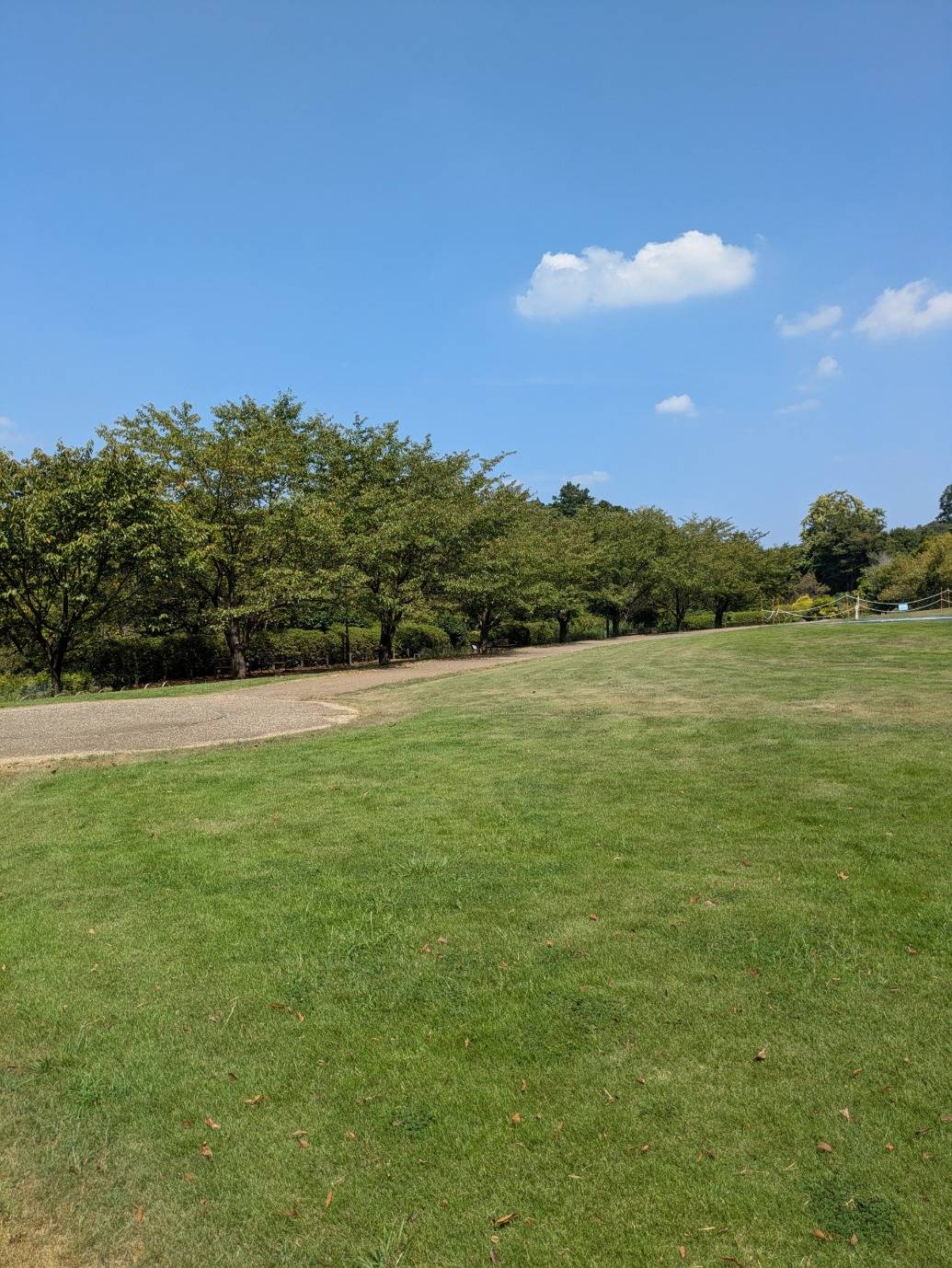 PXL_20250830_021658754.jpg