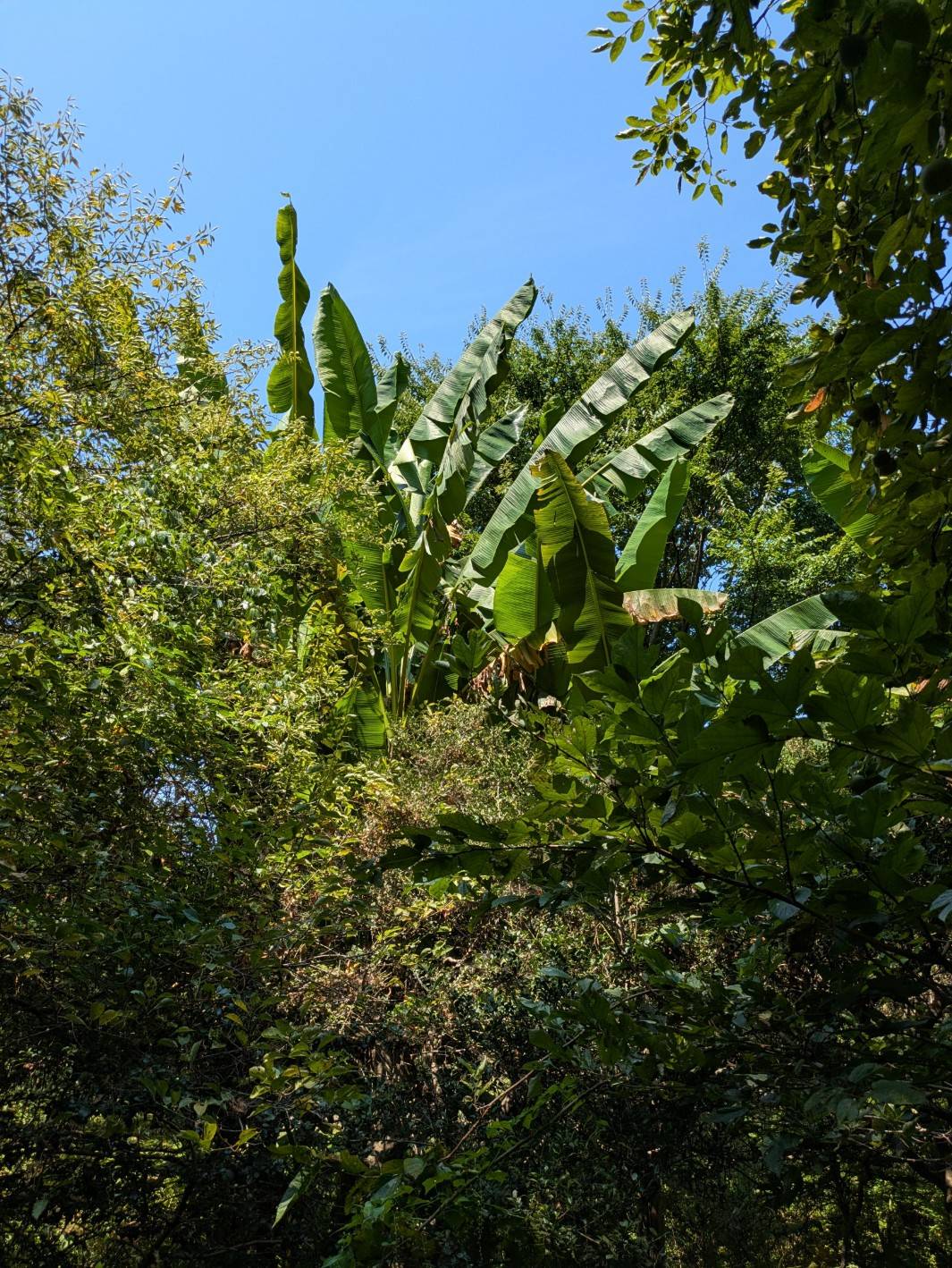 PXL_20250830_022330624.jpg