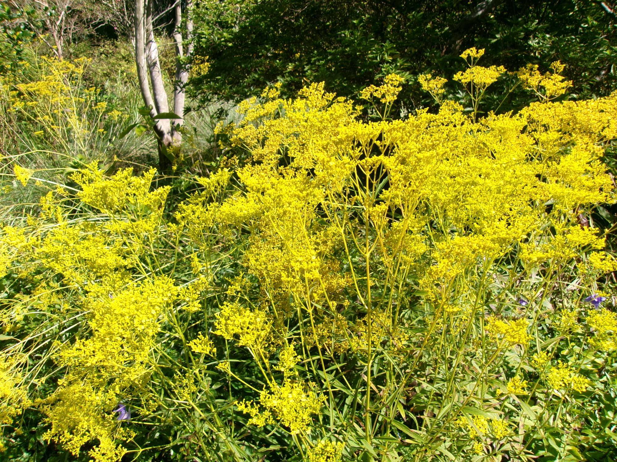 100_7043.jpg