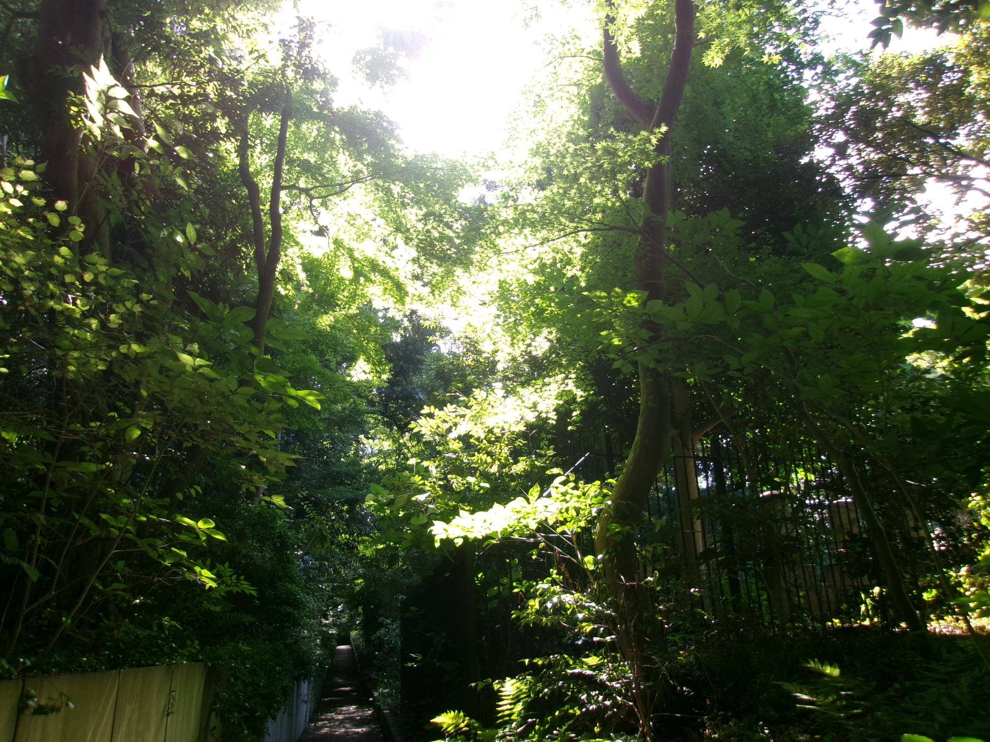 100_7059.jpg
