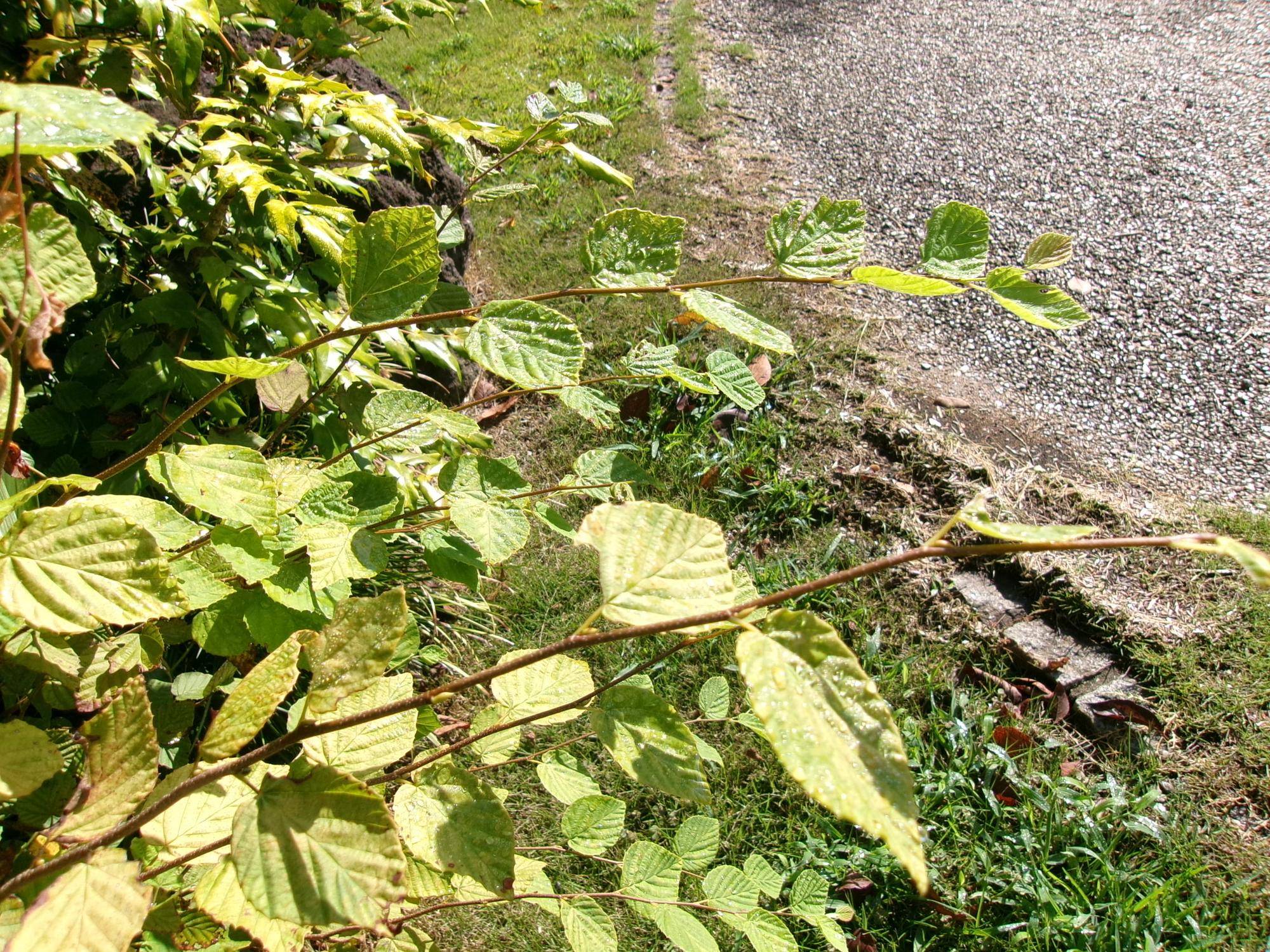 100_7040.jpg