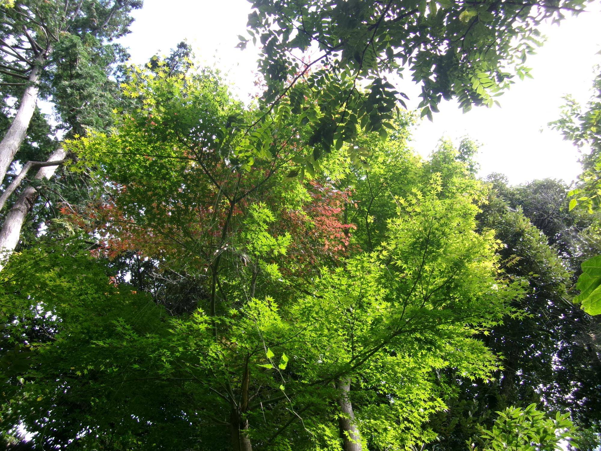 100_7612.jpg