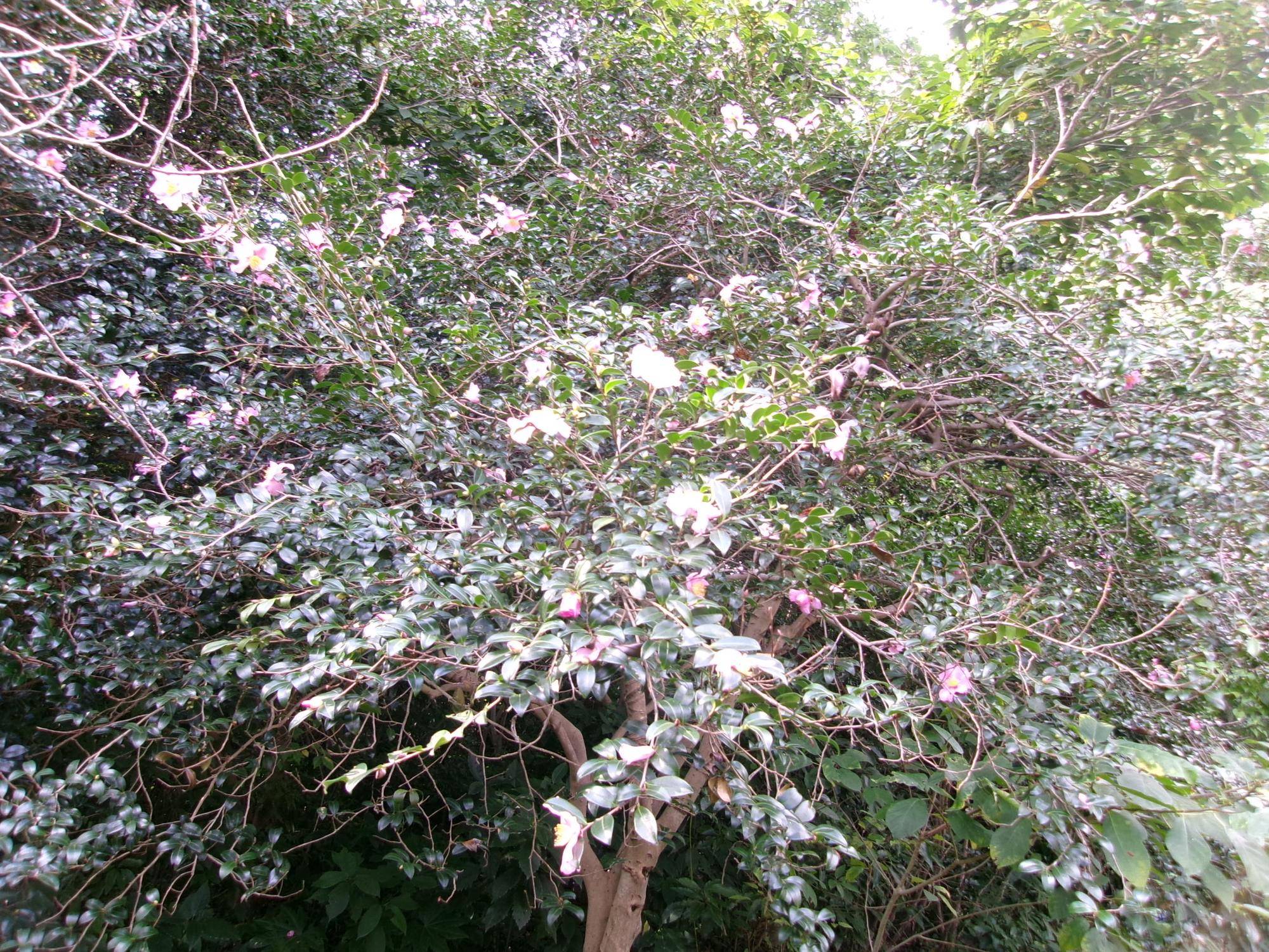 100_7624.jpg
