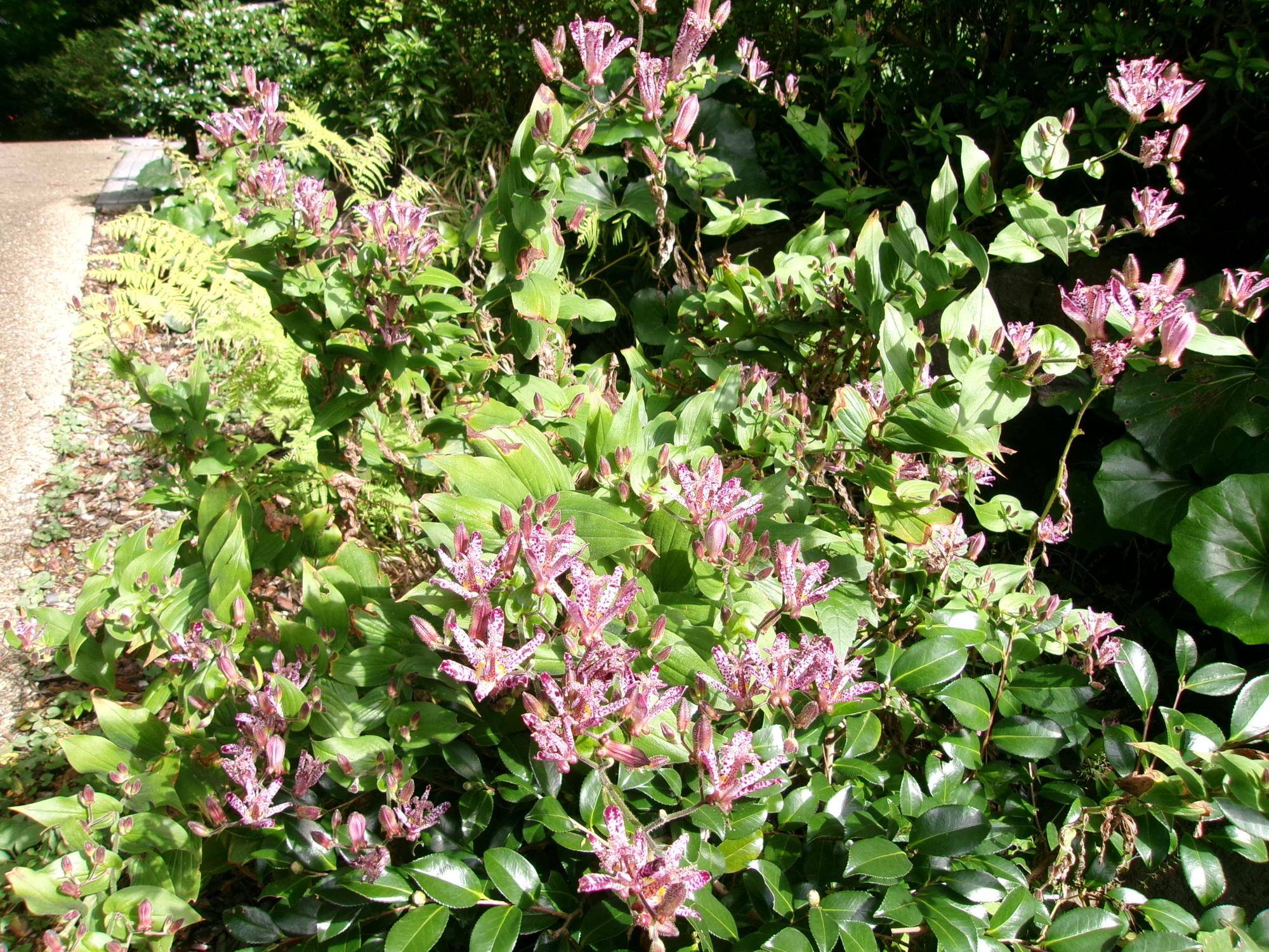 100_7641.jpg