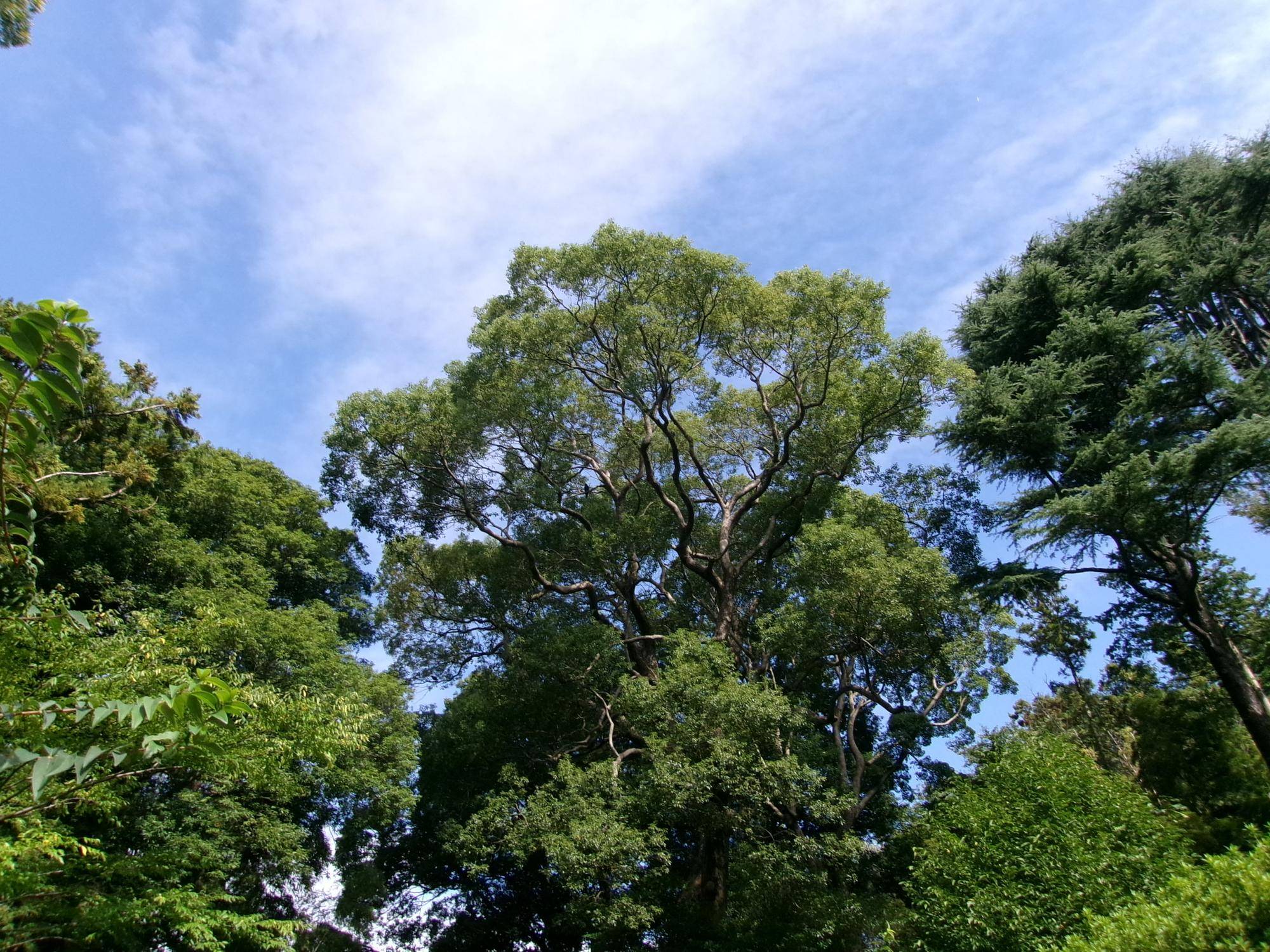100_7639.jpg