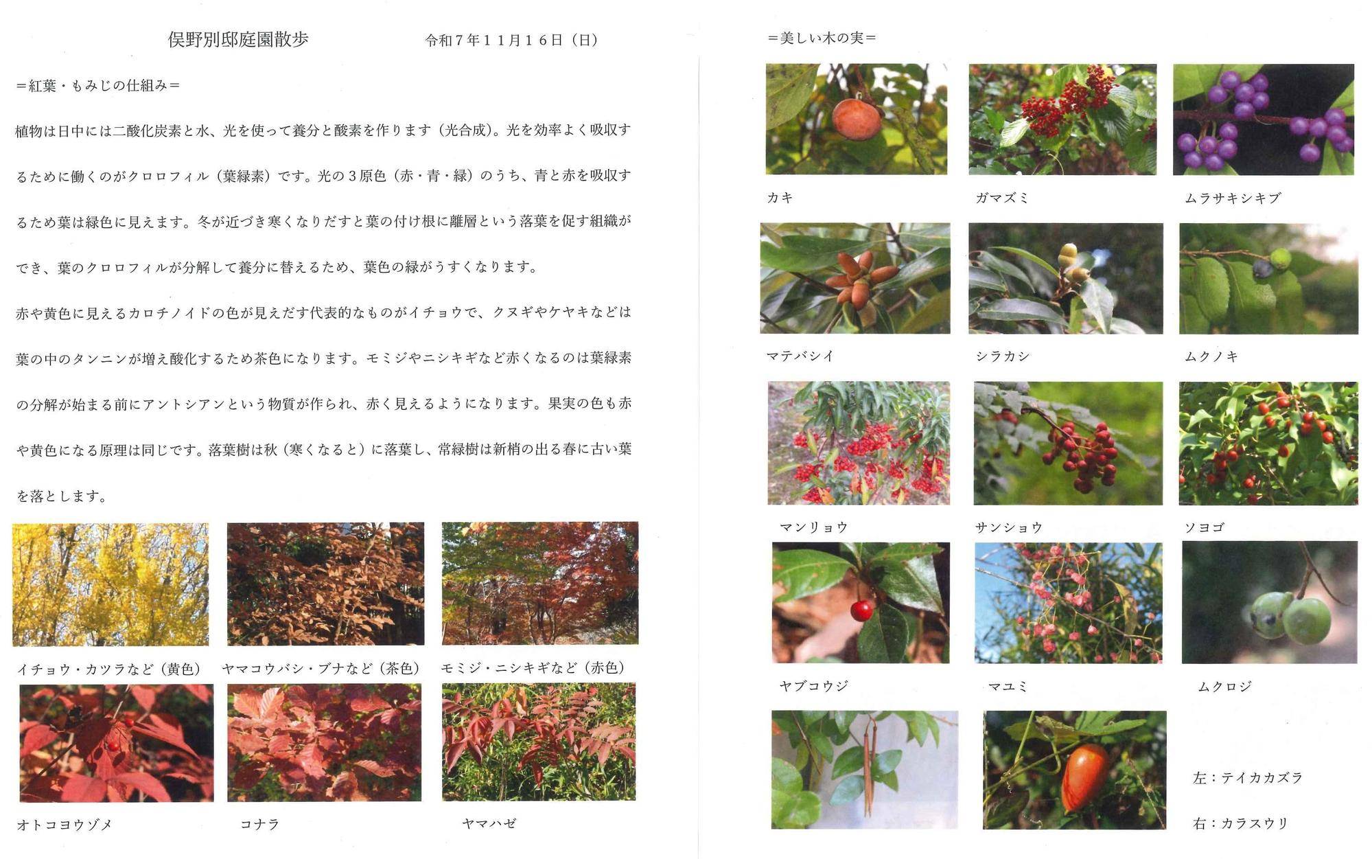 本日の資料 1116.jpg