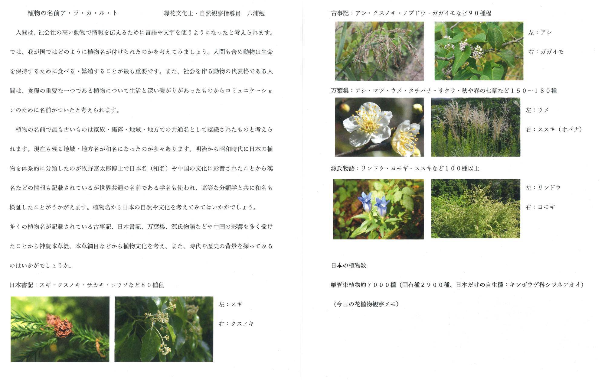 解説.jpg