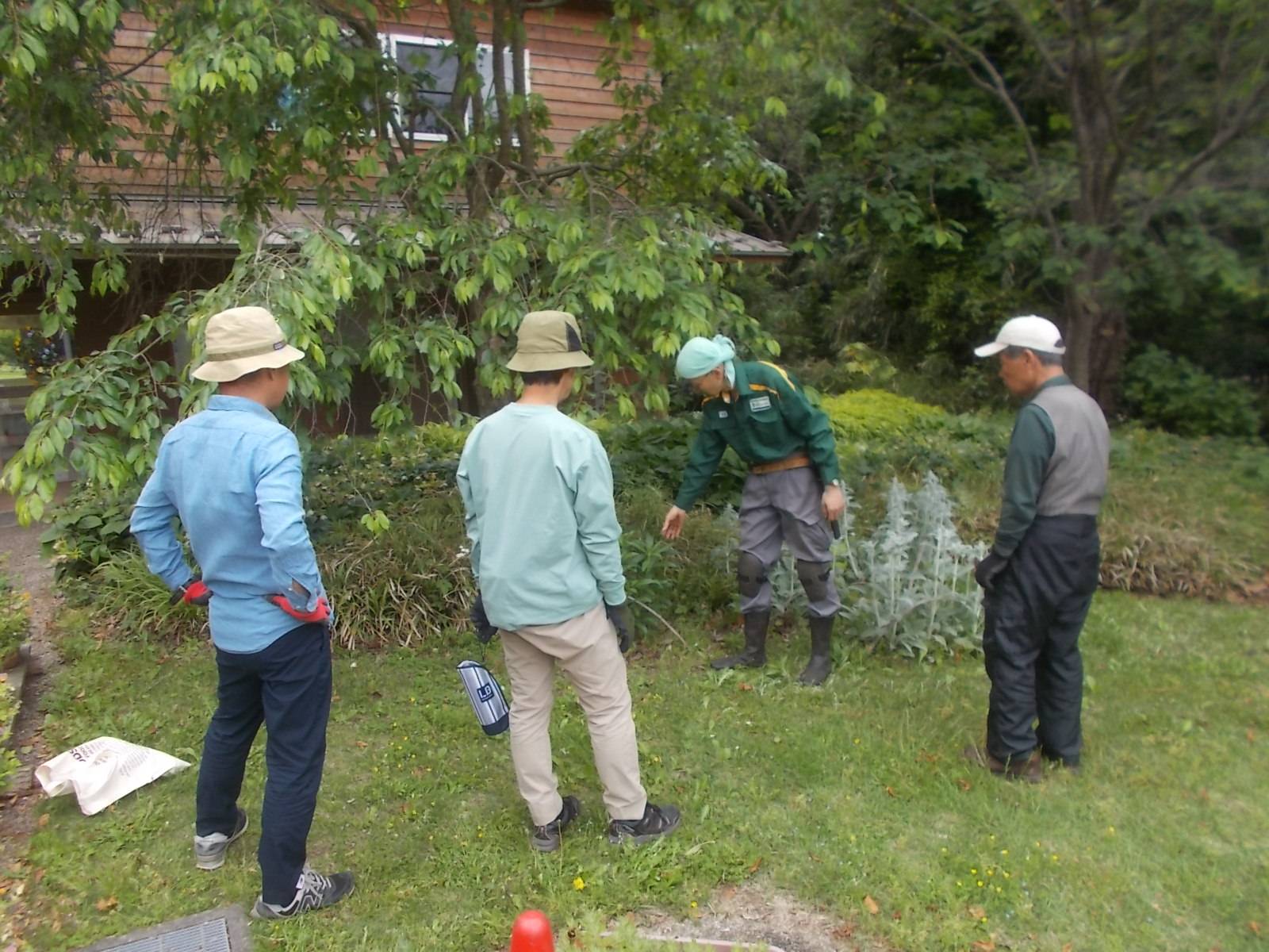 DSCN8598.jpg