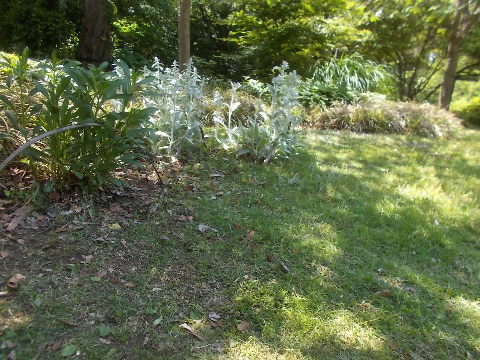 DSCN8625.jpg