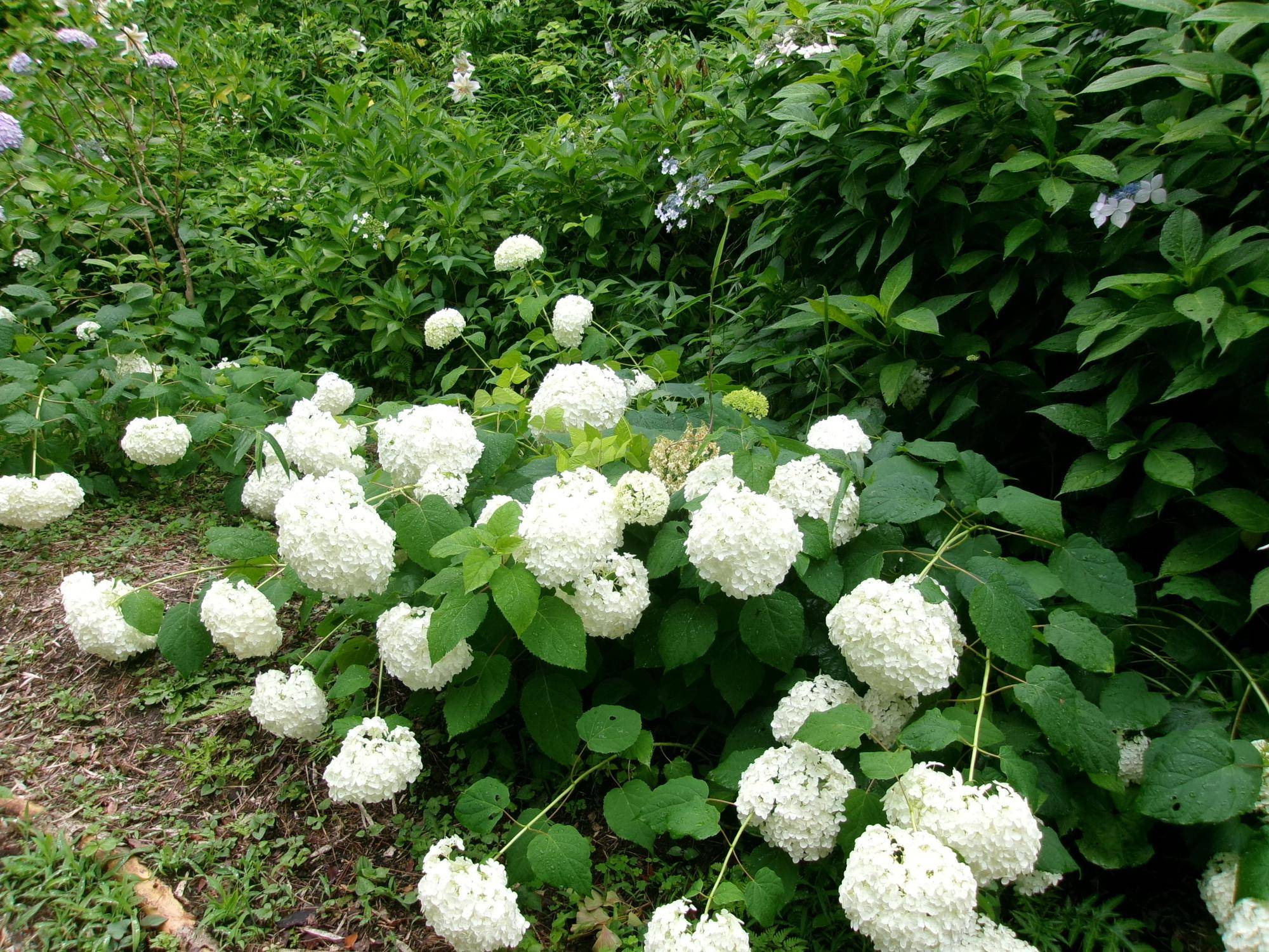 101_1489.jpg