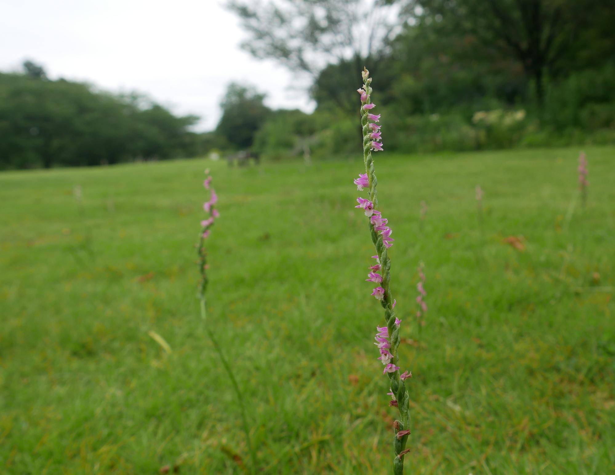 P1100076.jpg