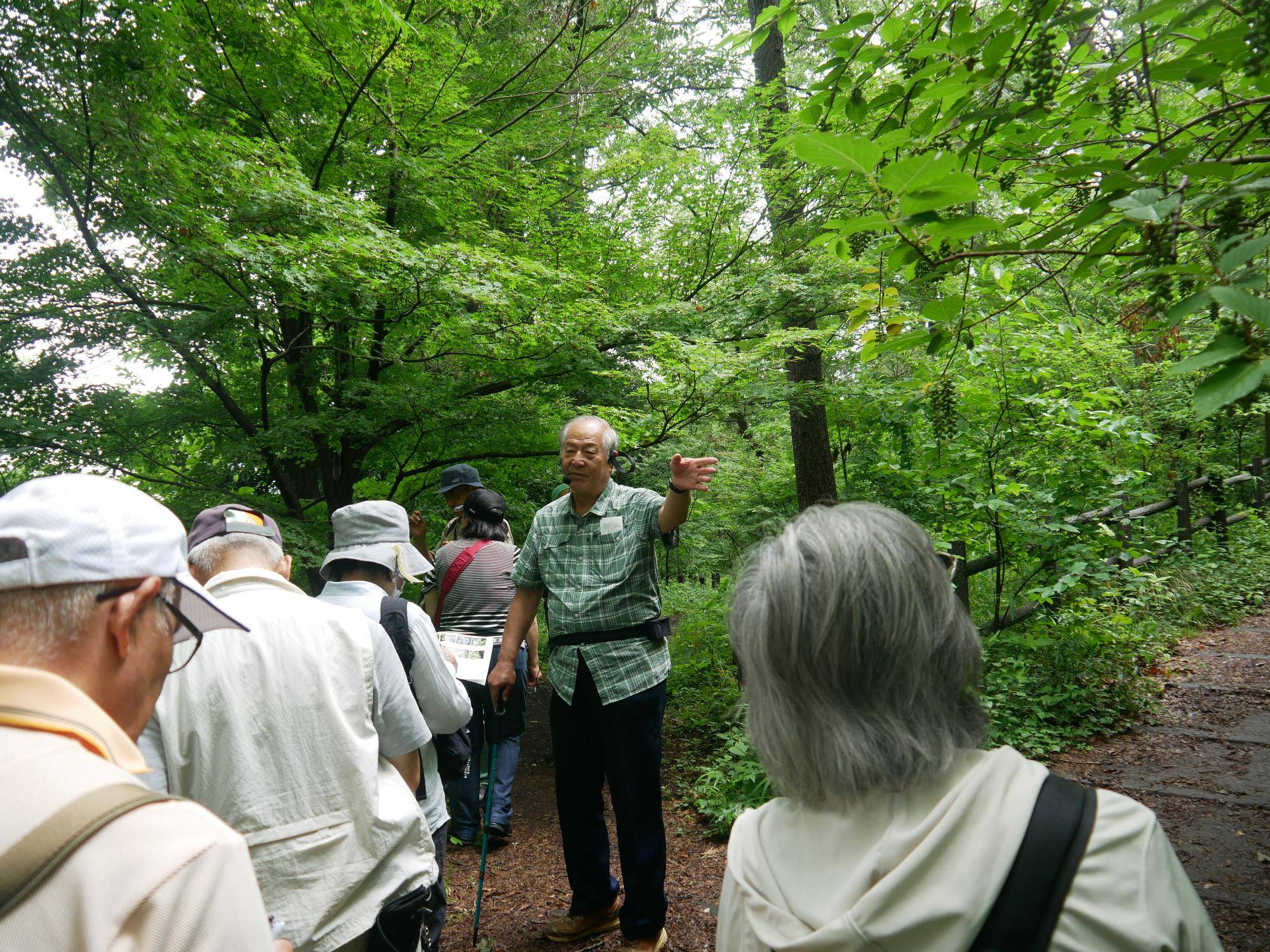 P1100090.jpg