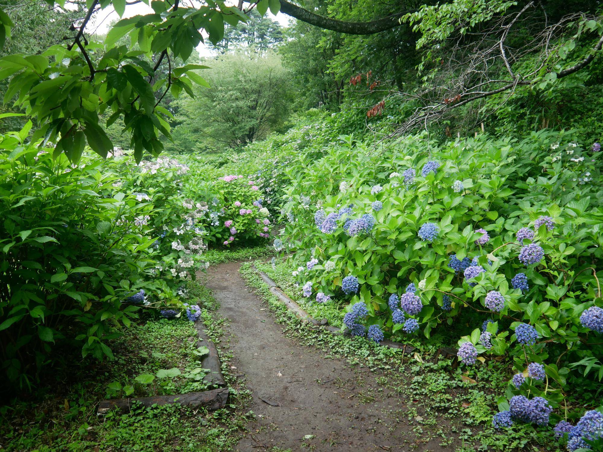 P1100208.jpg