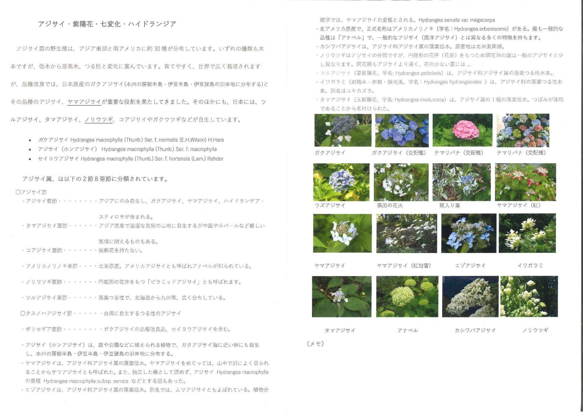 6月庭園散歩.jpg
