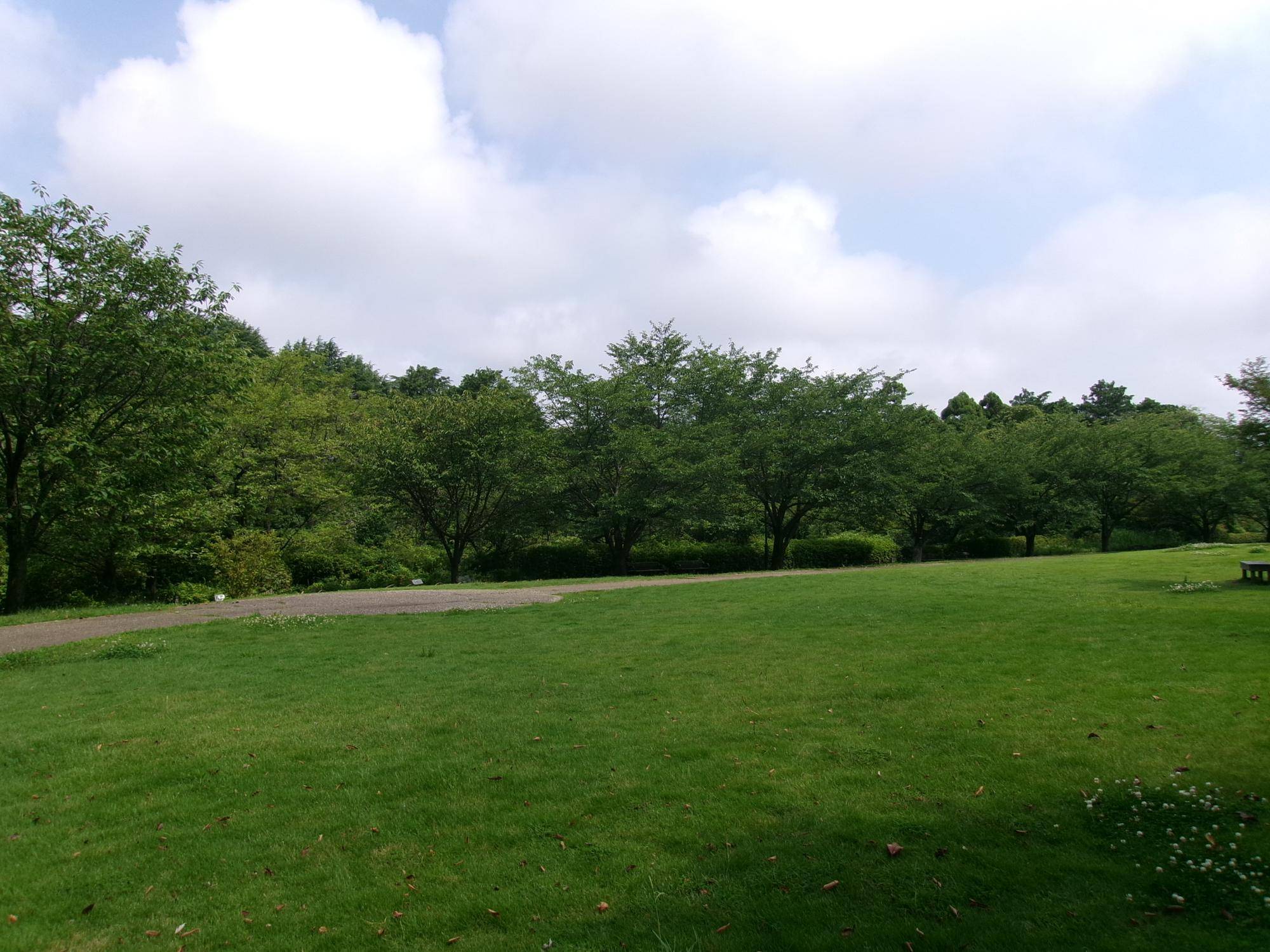 101_1793.jpg